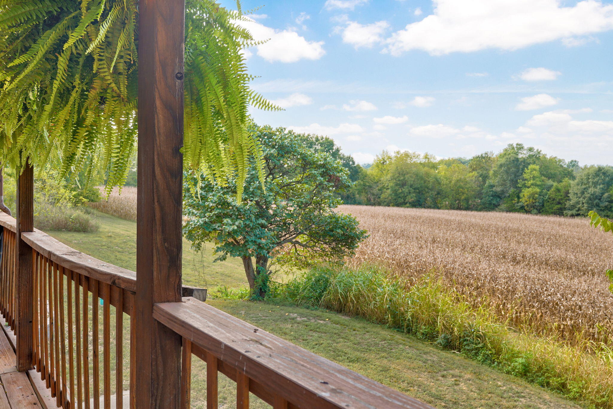 main property photo 12