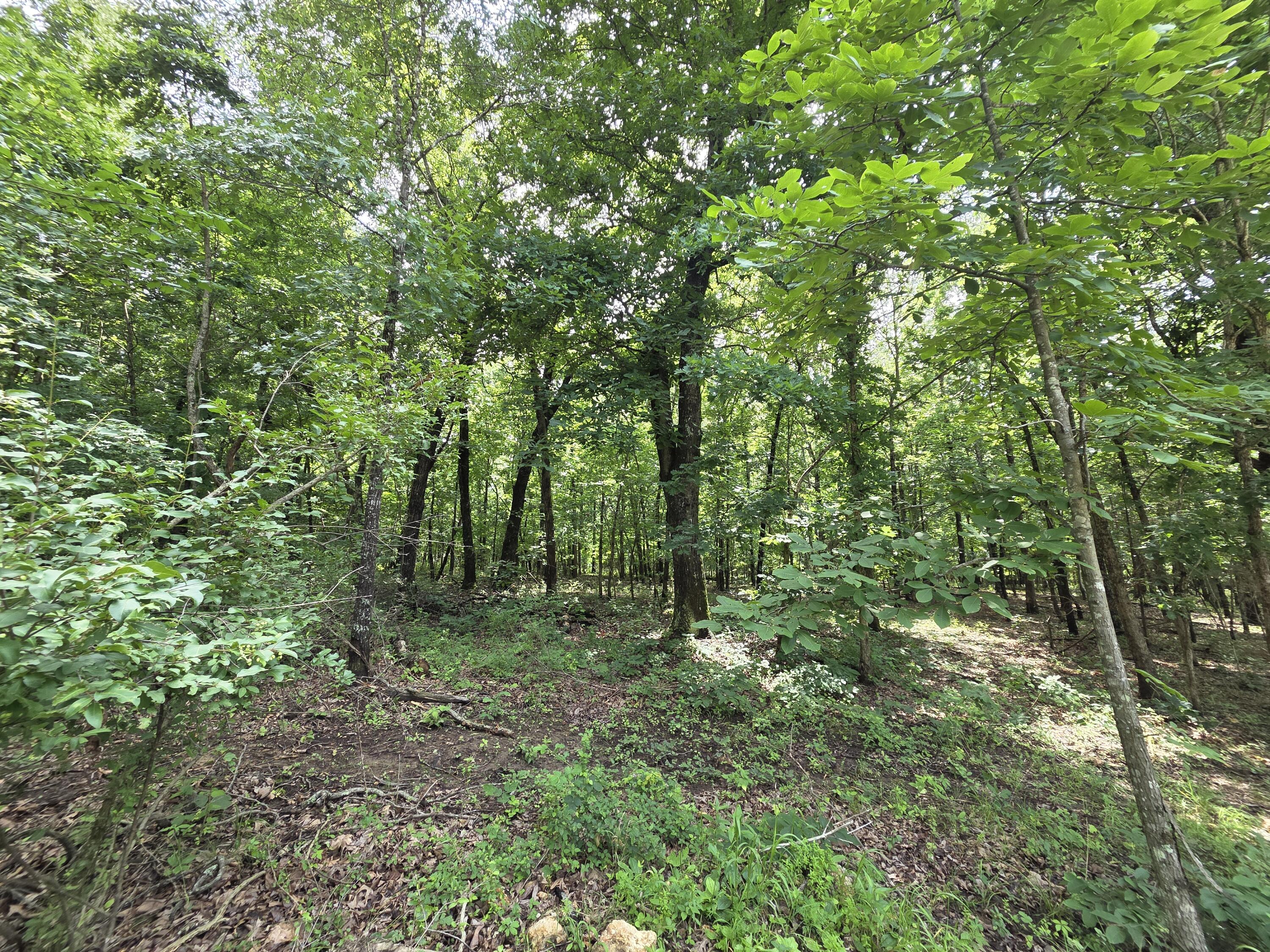 main property photo 81