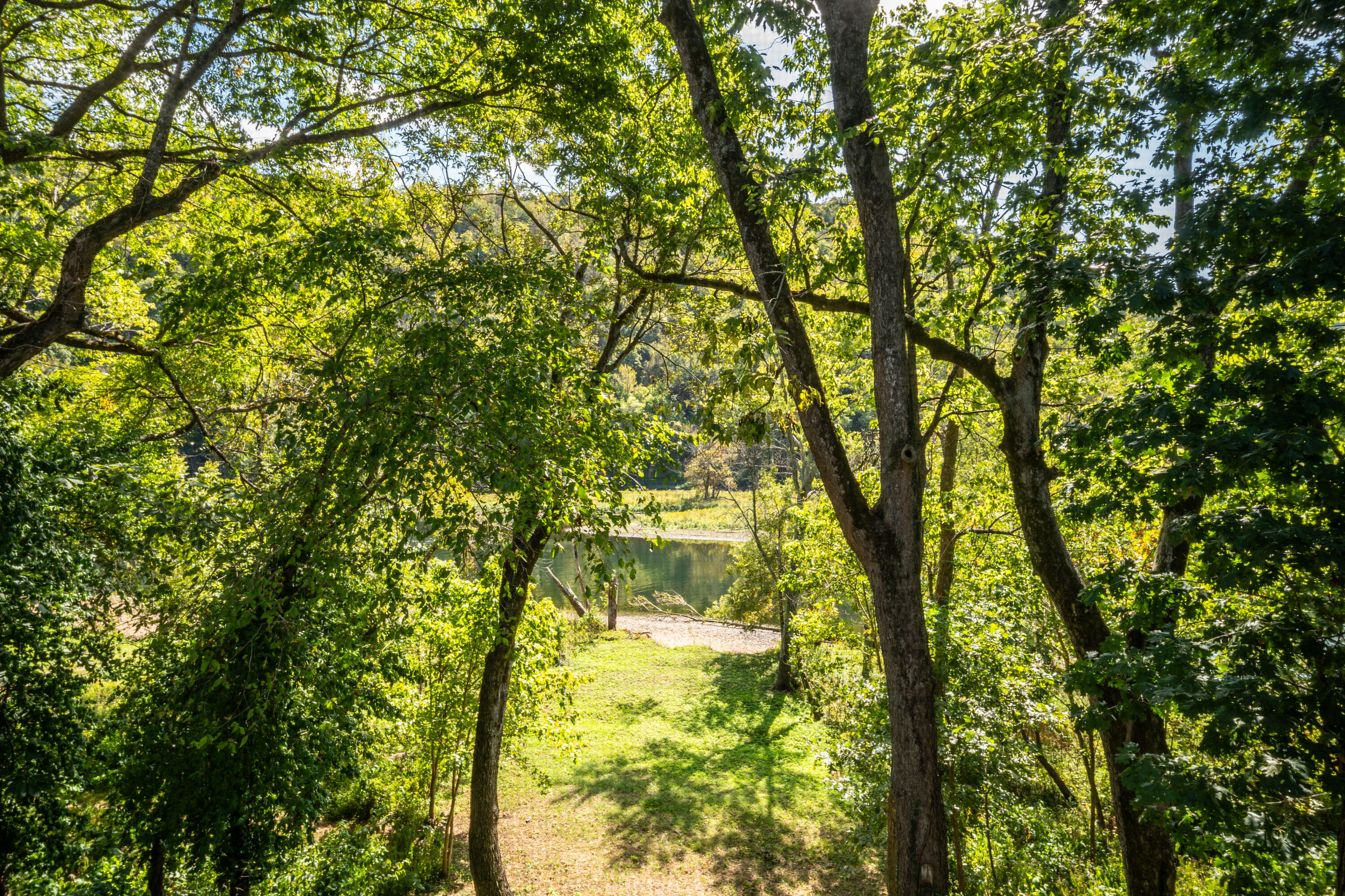 main property photo 40