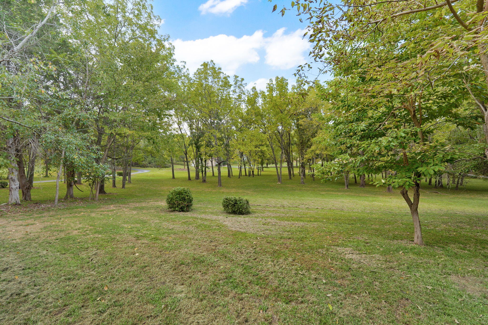 main property photo 86