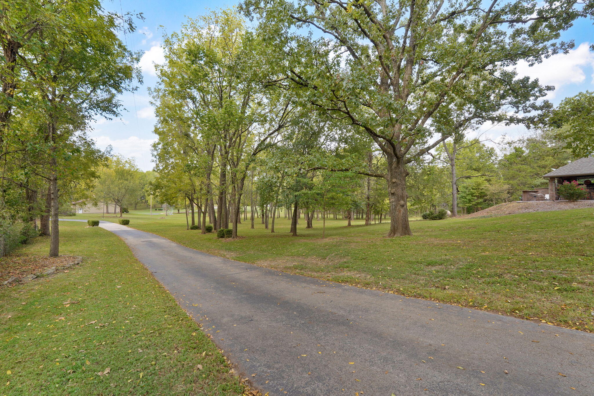 main property photo 87