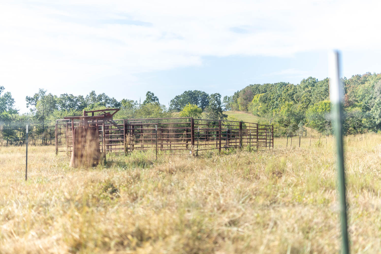main property photo 49