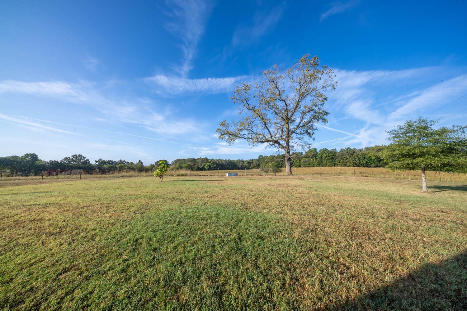 main property photo 63