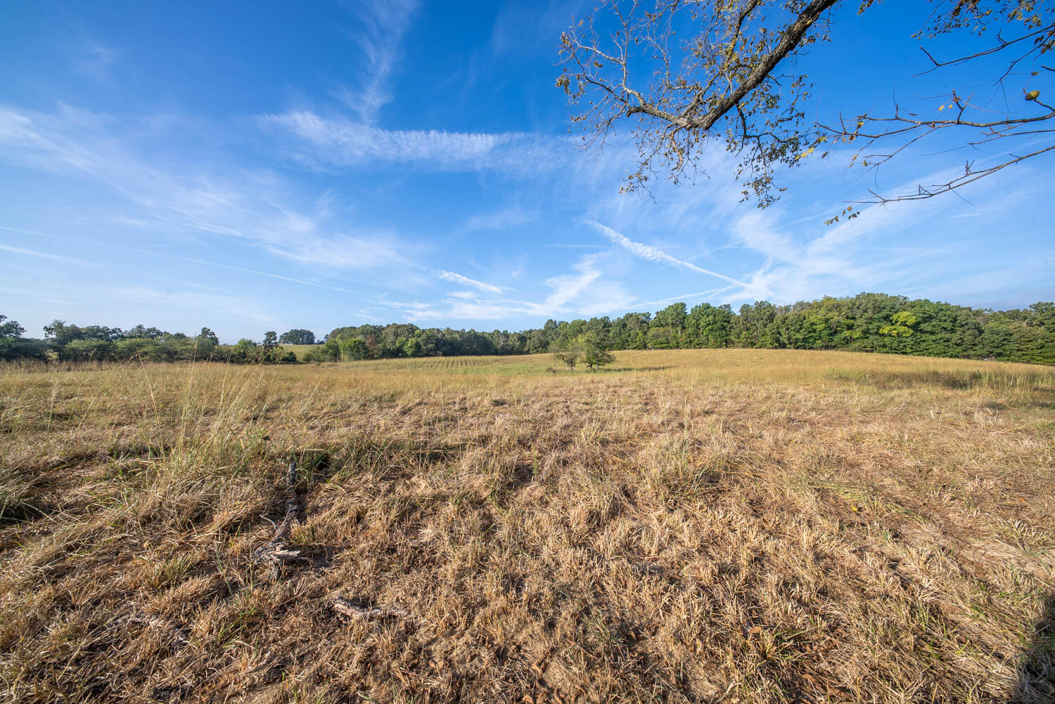 main property photo 64