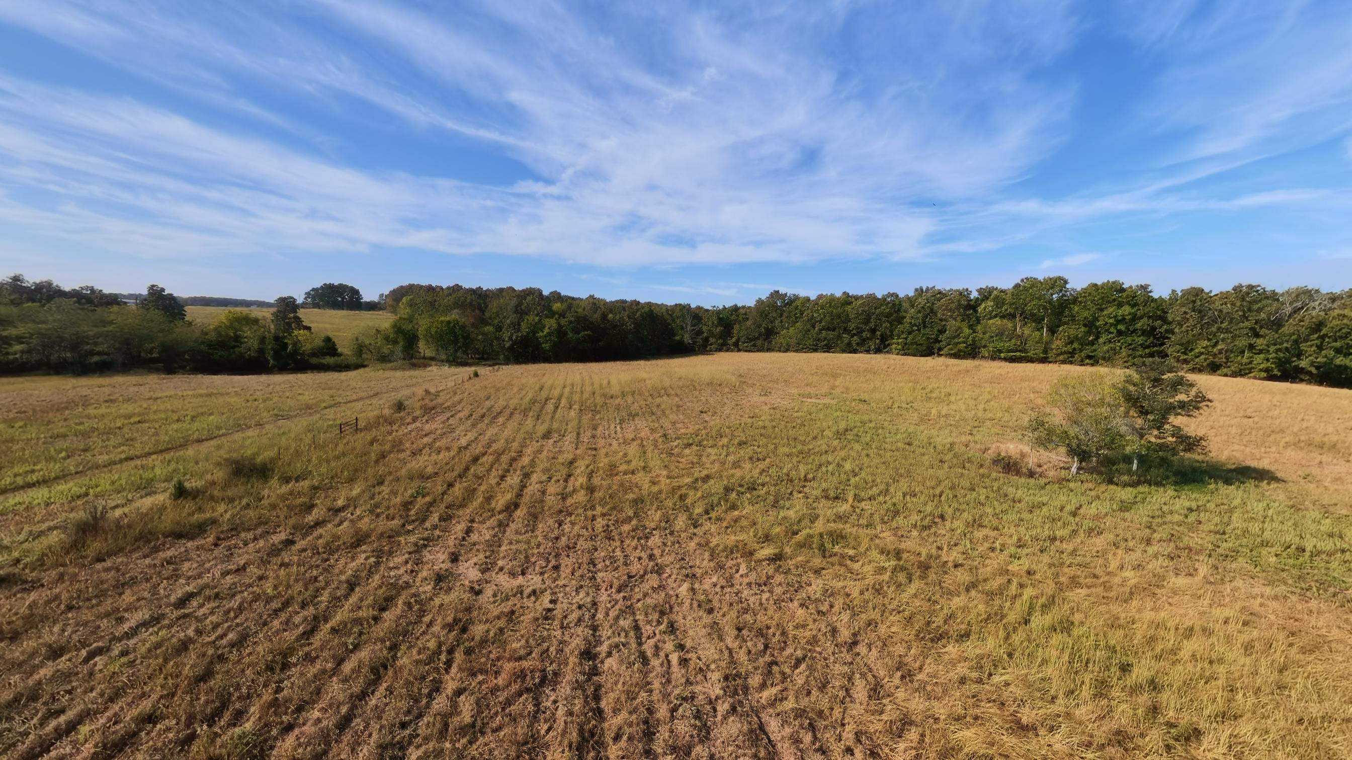 main property photo 65