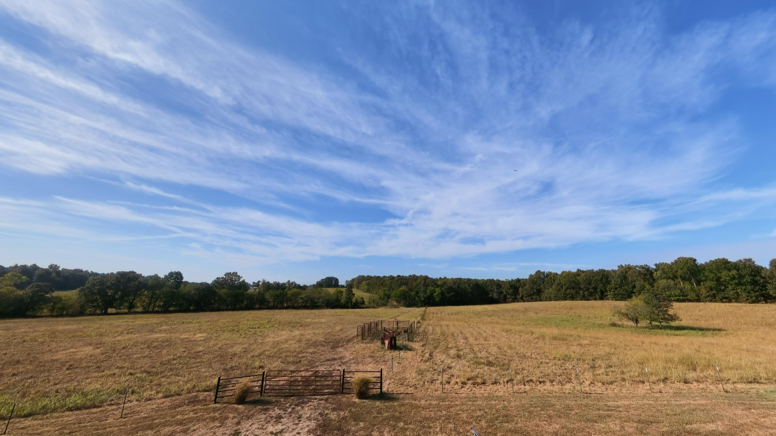 main property photo 73