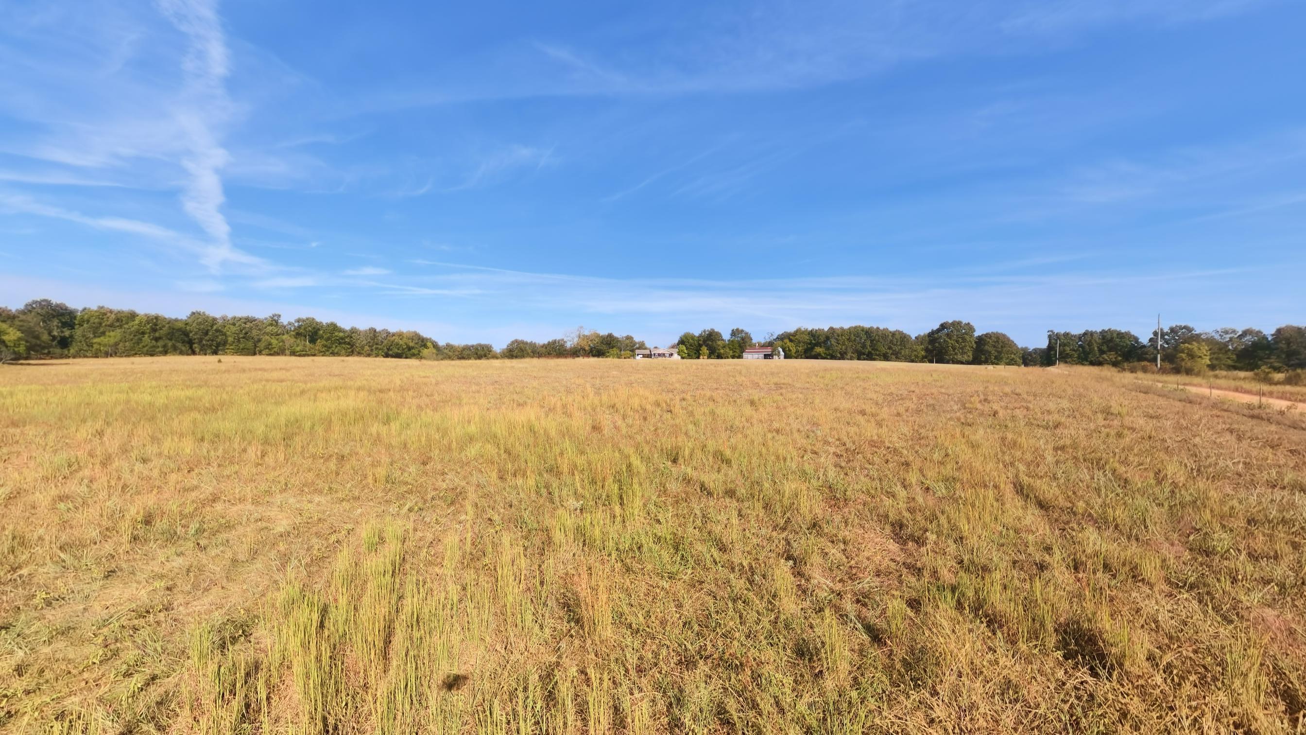 main property photo 75