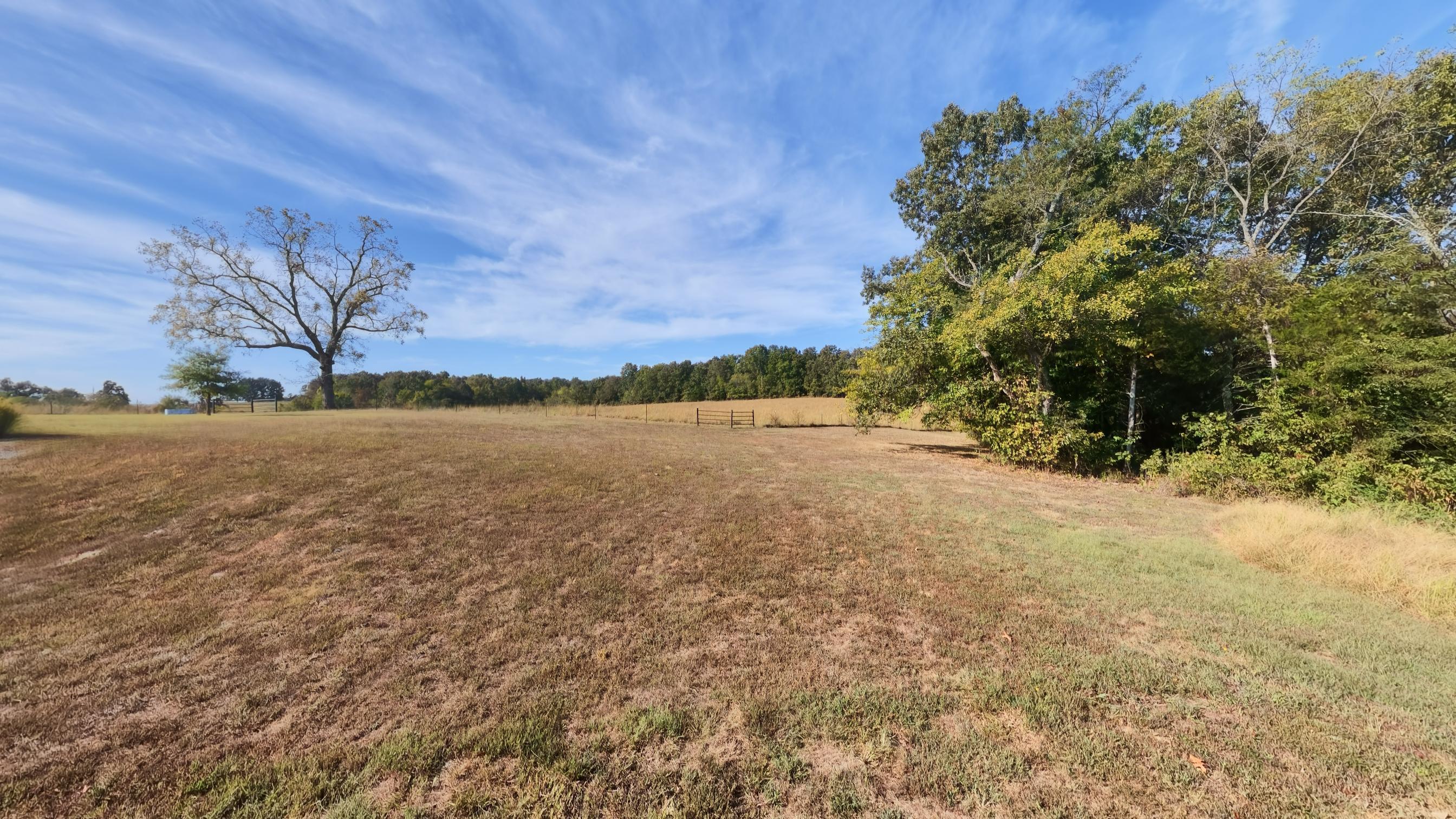 main property photo 79