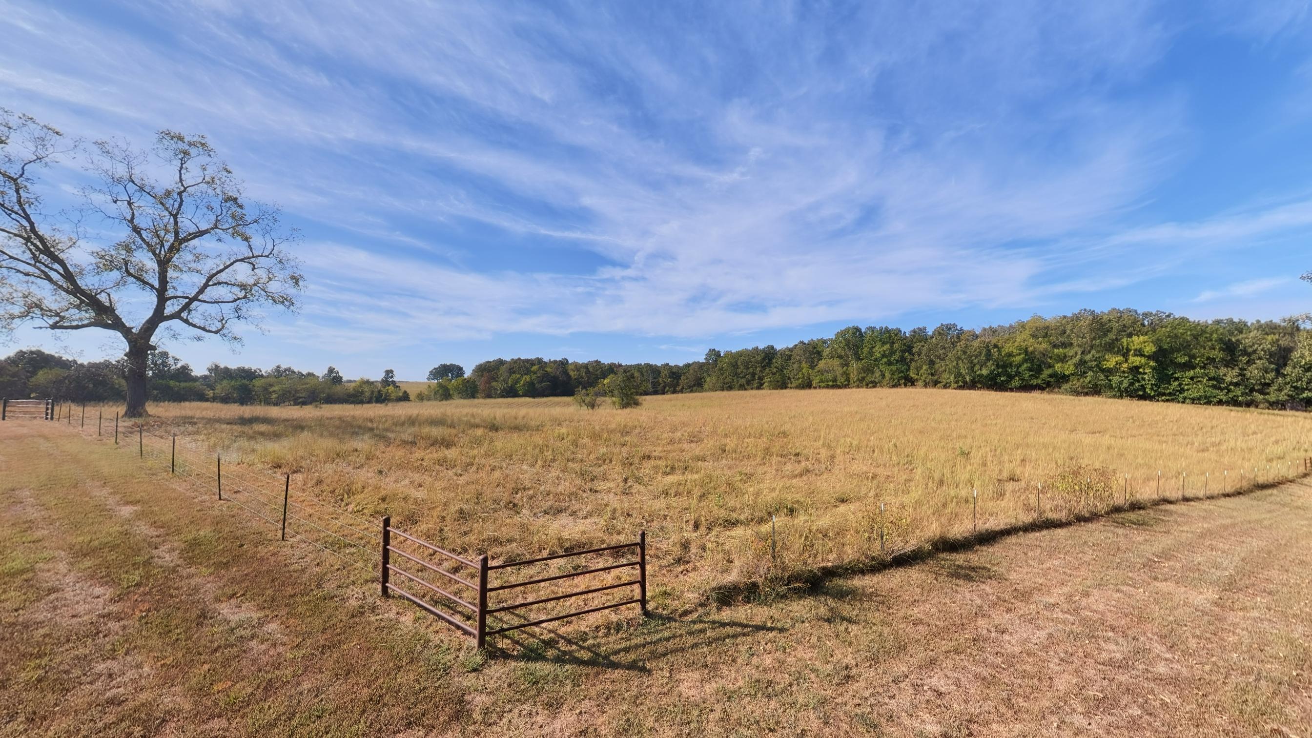 main property photo 80