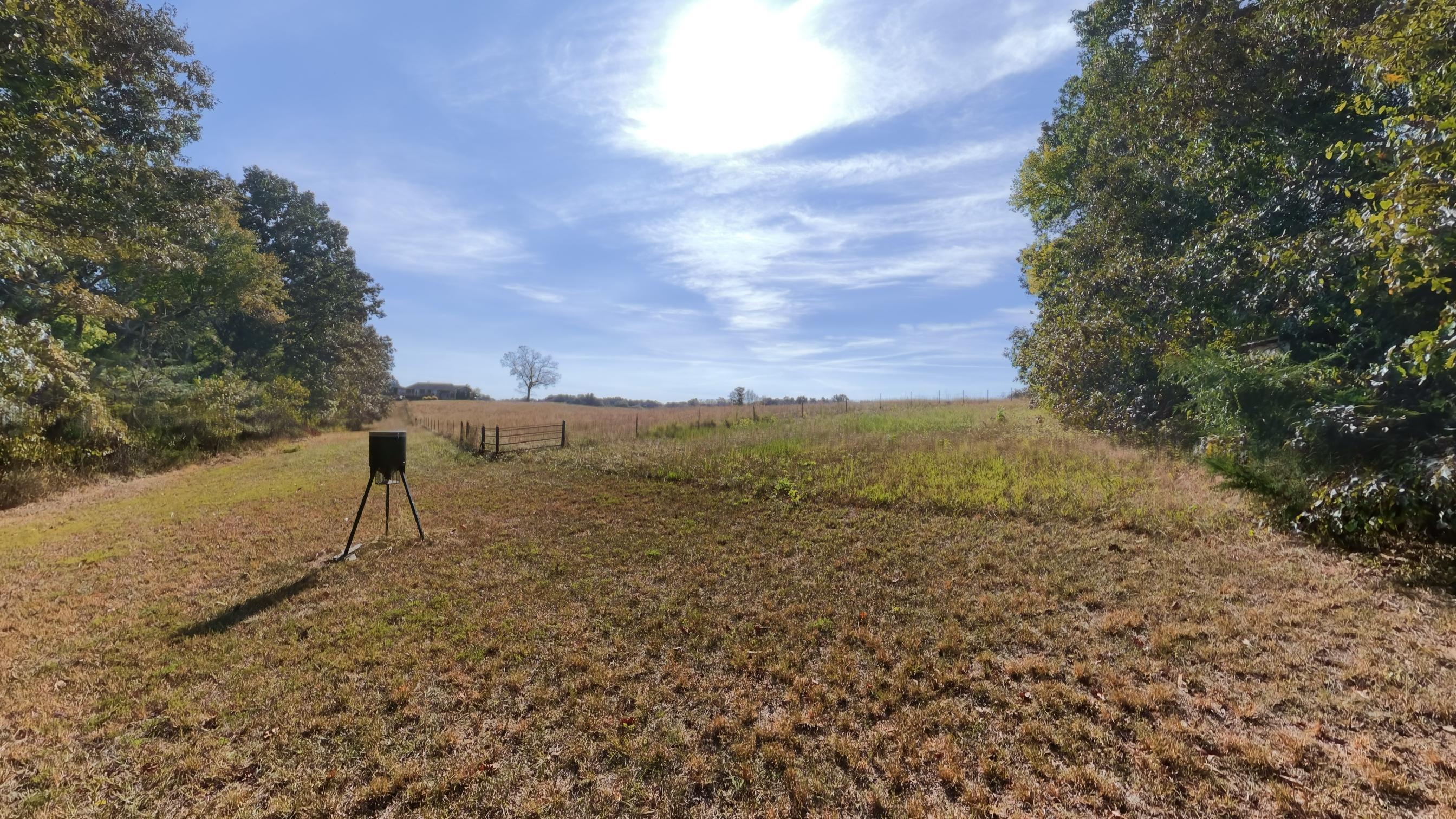 main property photo 82