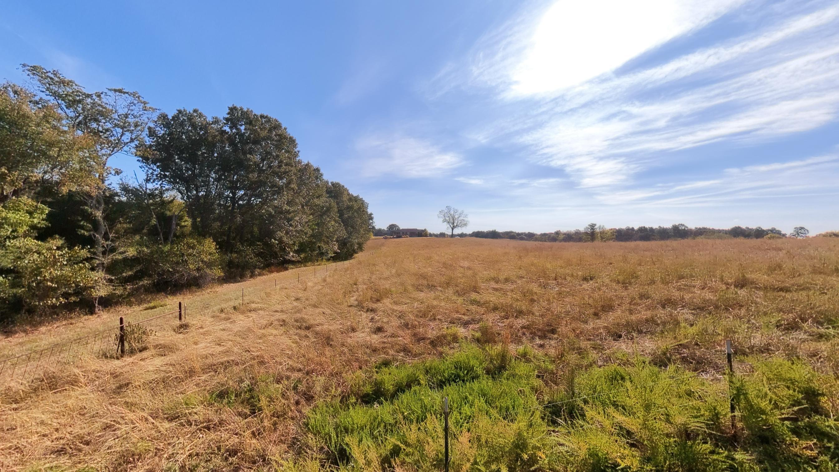 main property photo 84