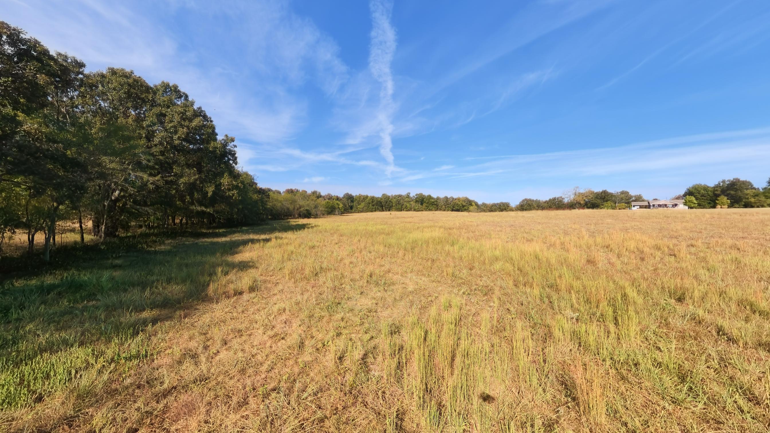 main property photo 89