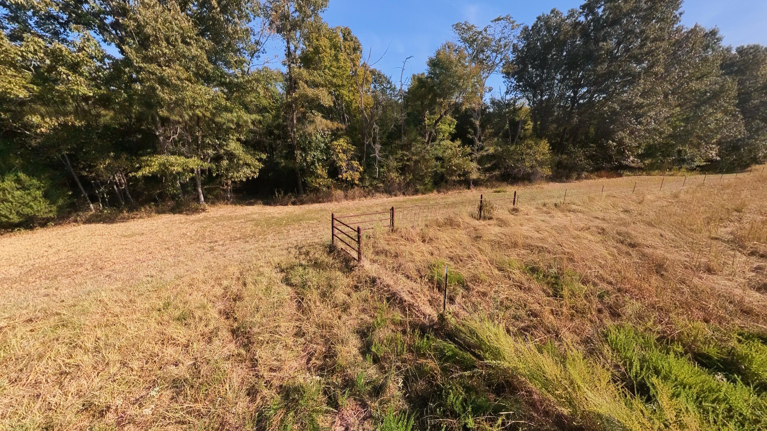 main property photo 94
