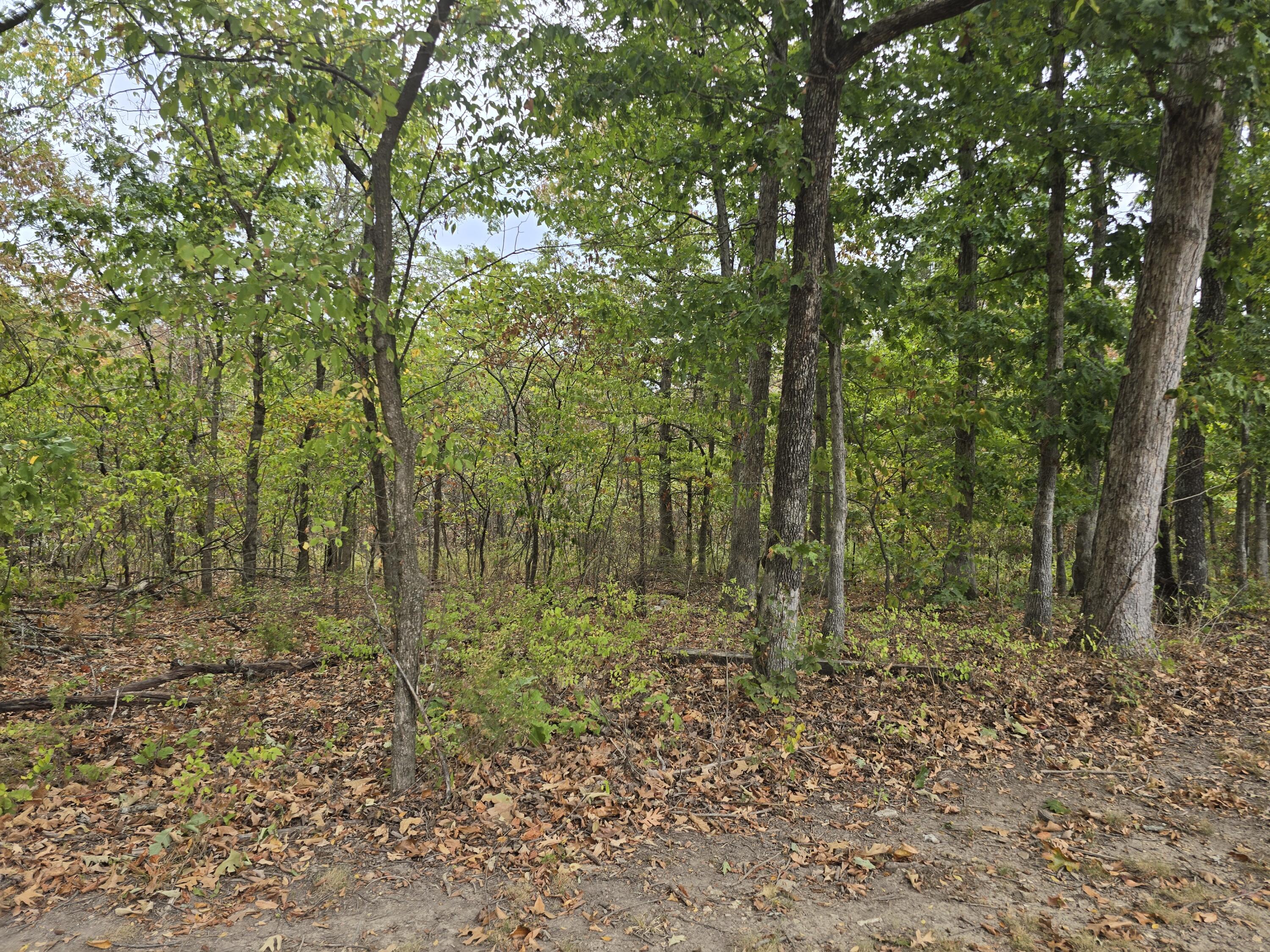 main property photo 39