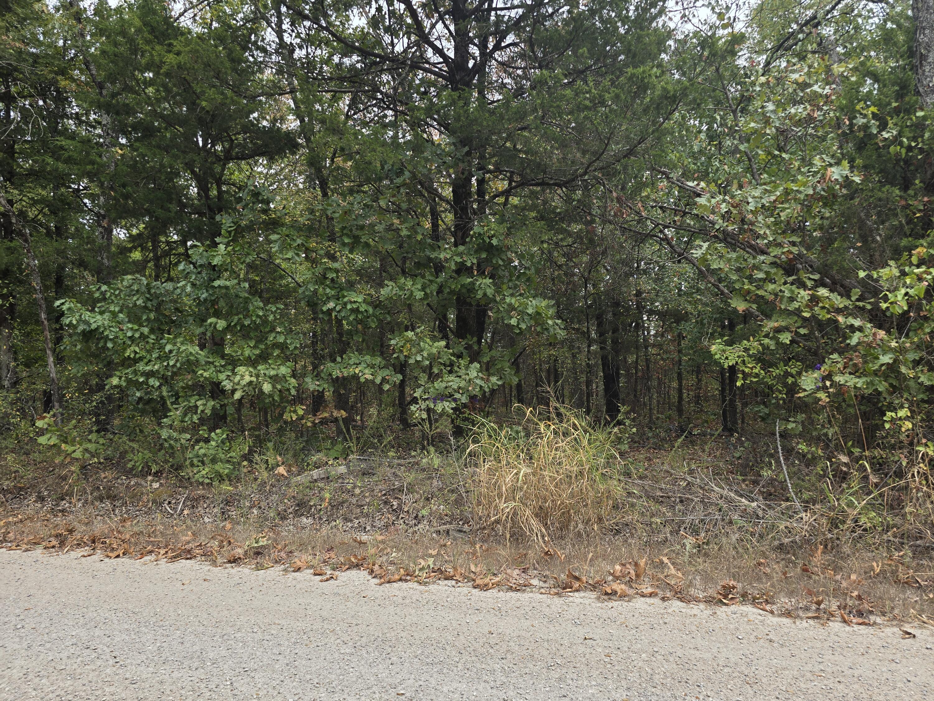 main property photo 46