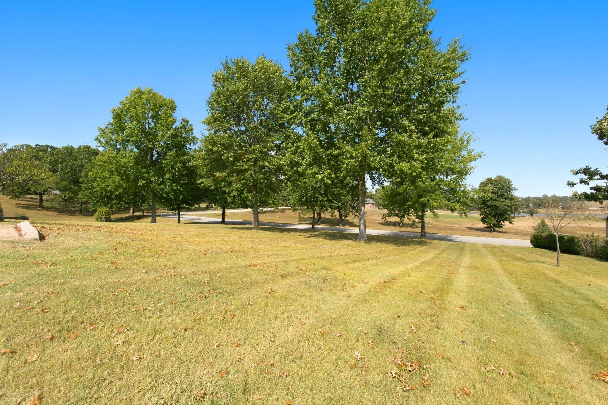main property photo 43
