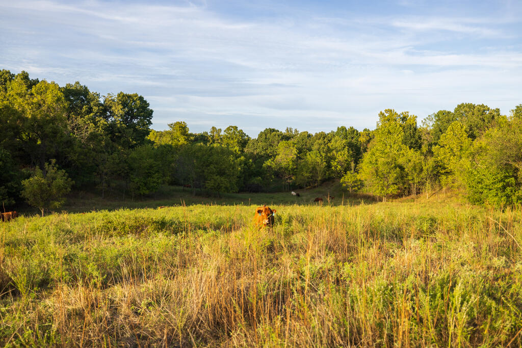 main property photo 46