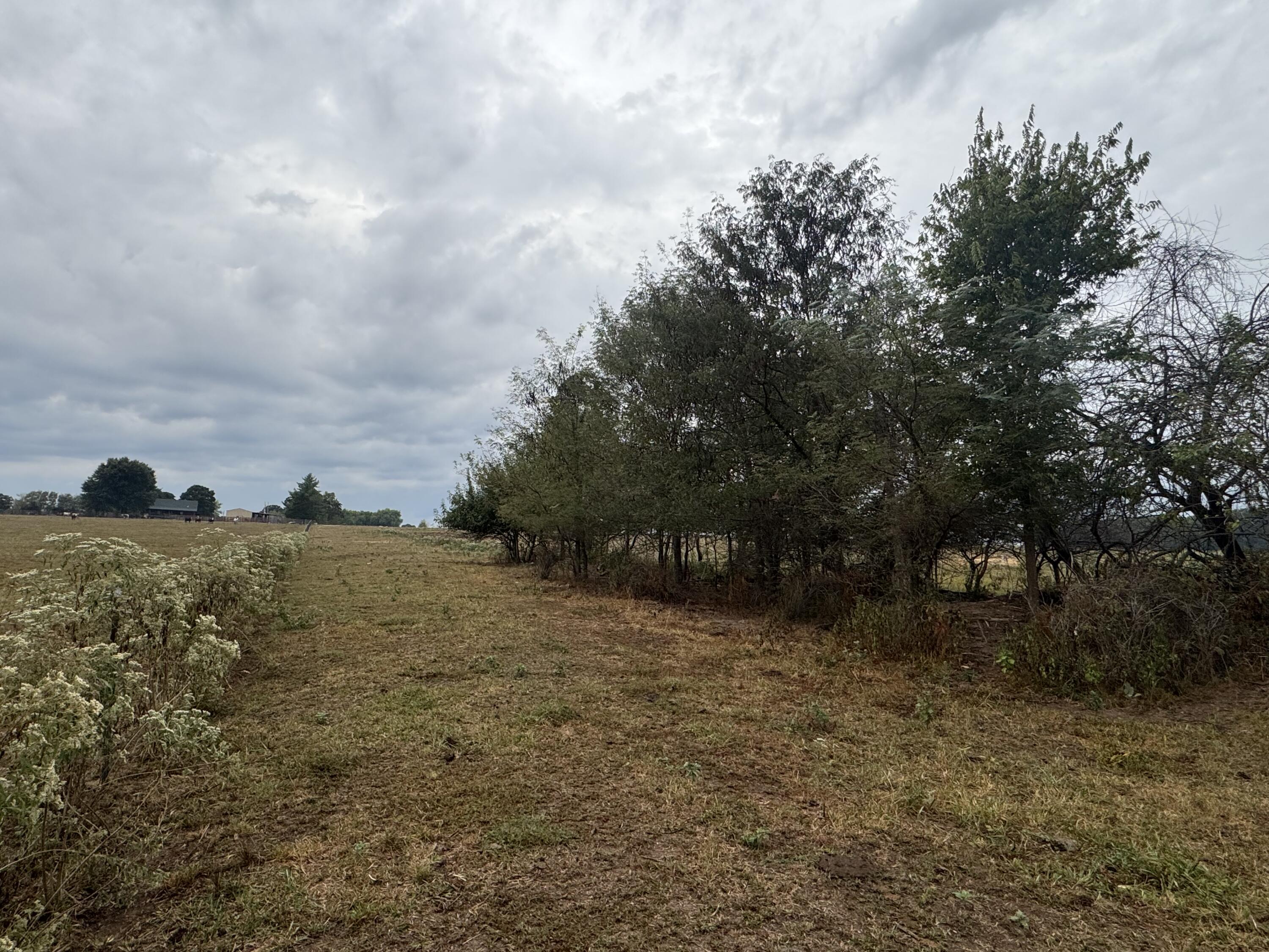 main property photo 105