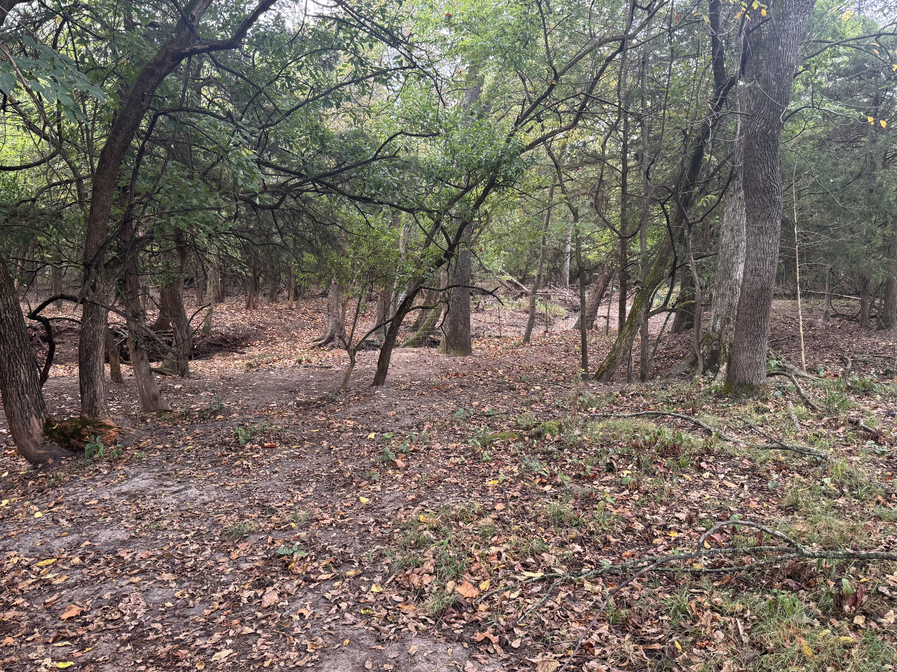 main property photo 112