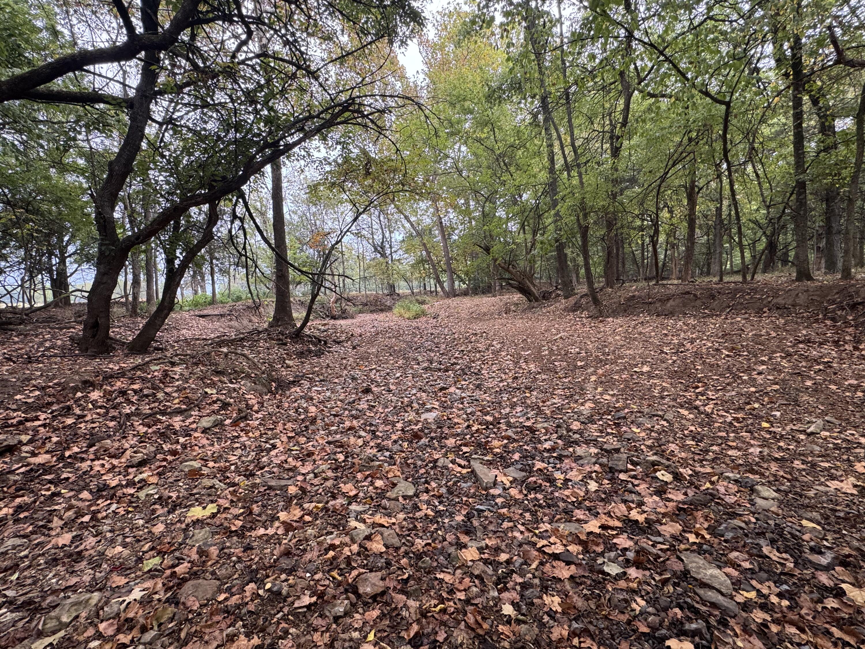 main property photo 125