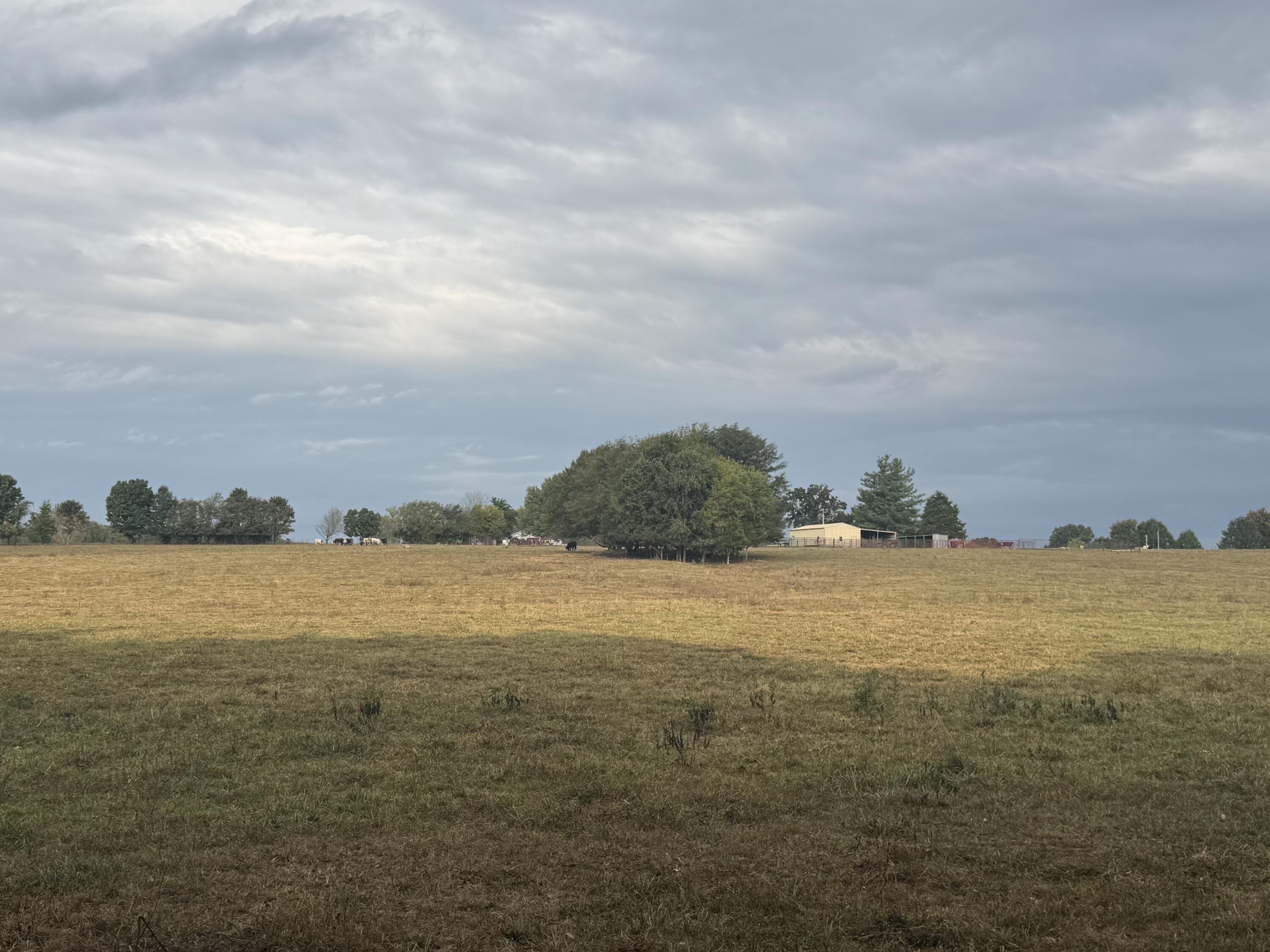 main property photo 131
