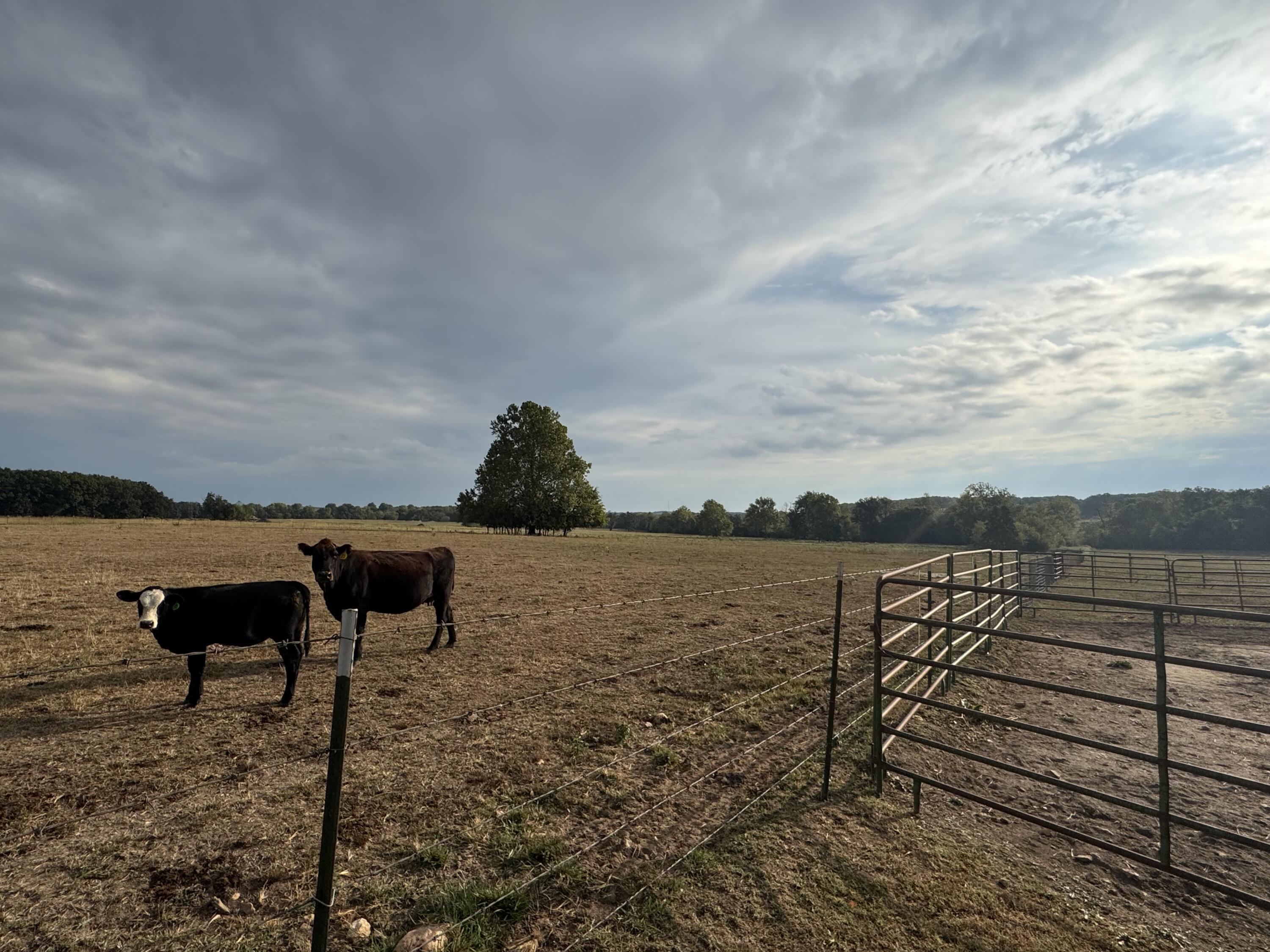 main property photo 84