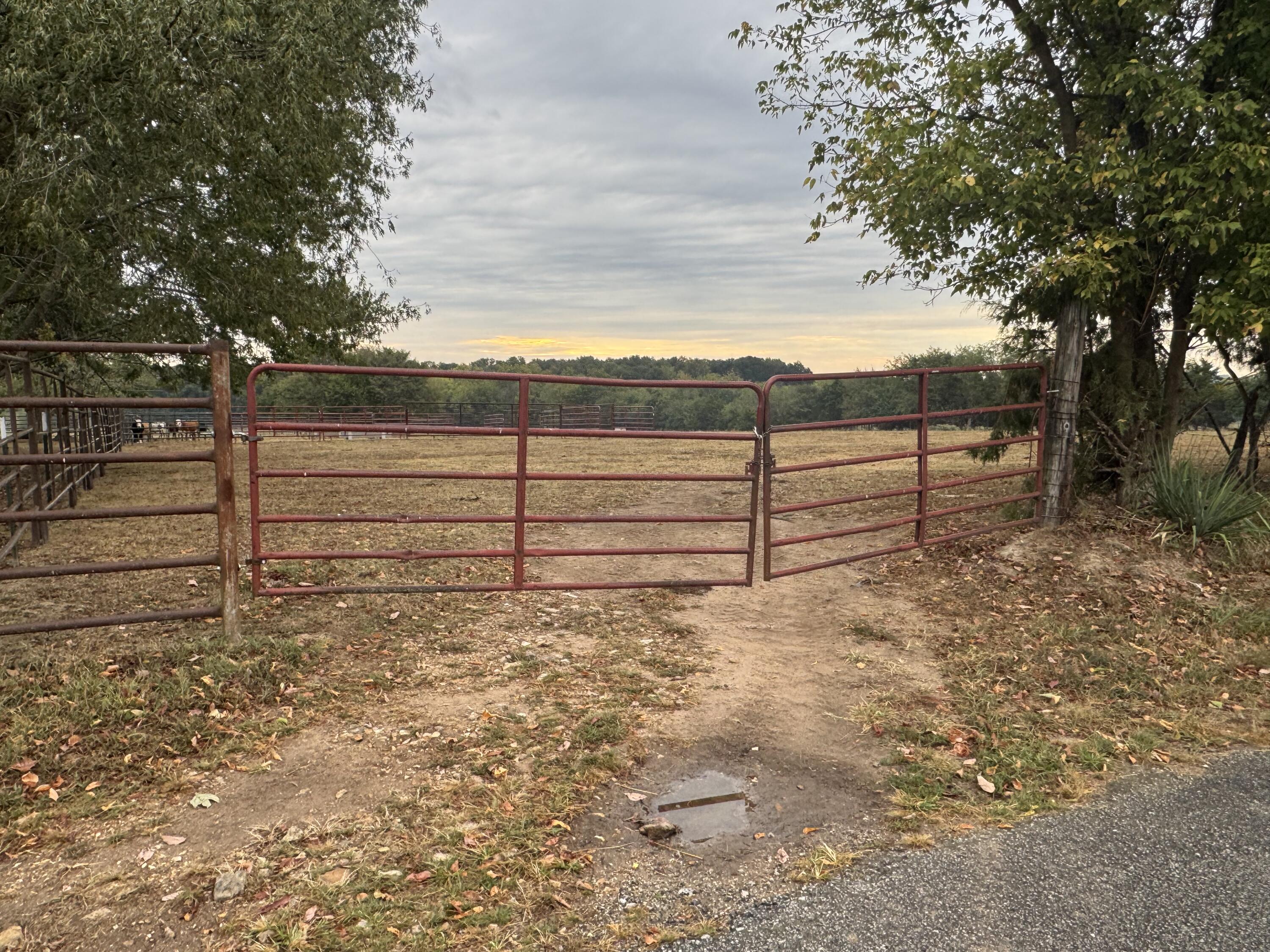 main property photo 86