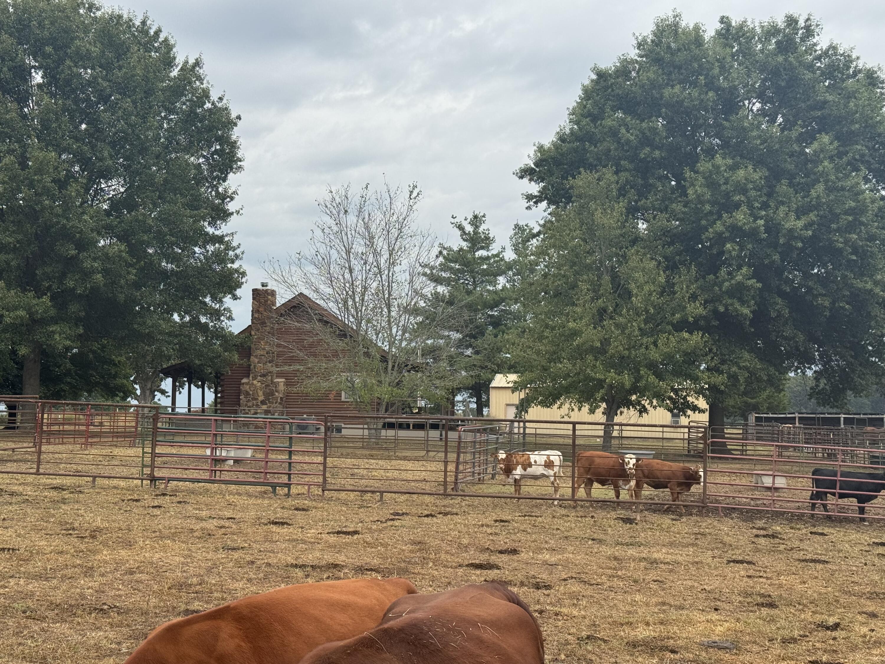 main property photo 87