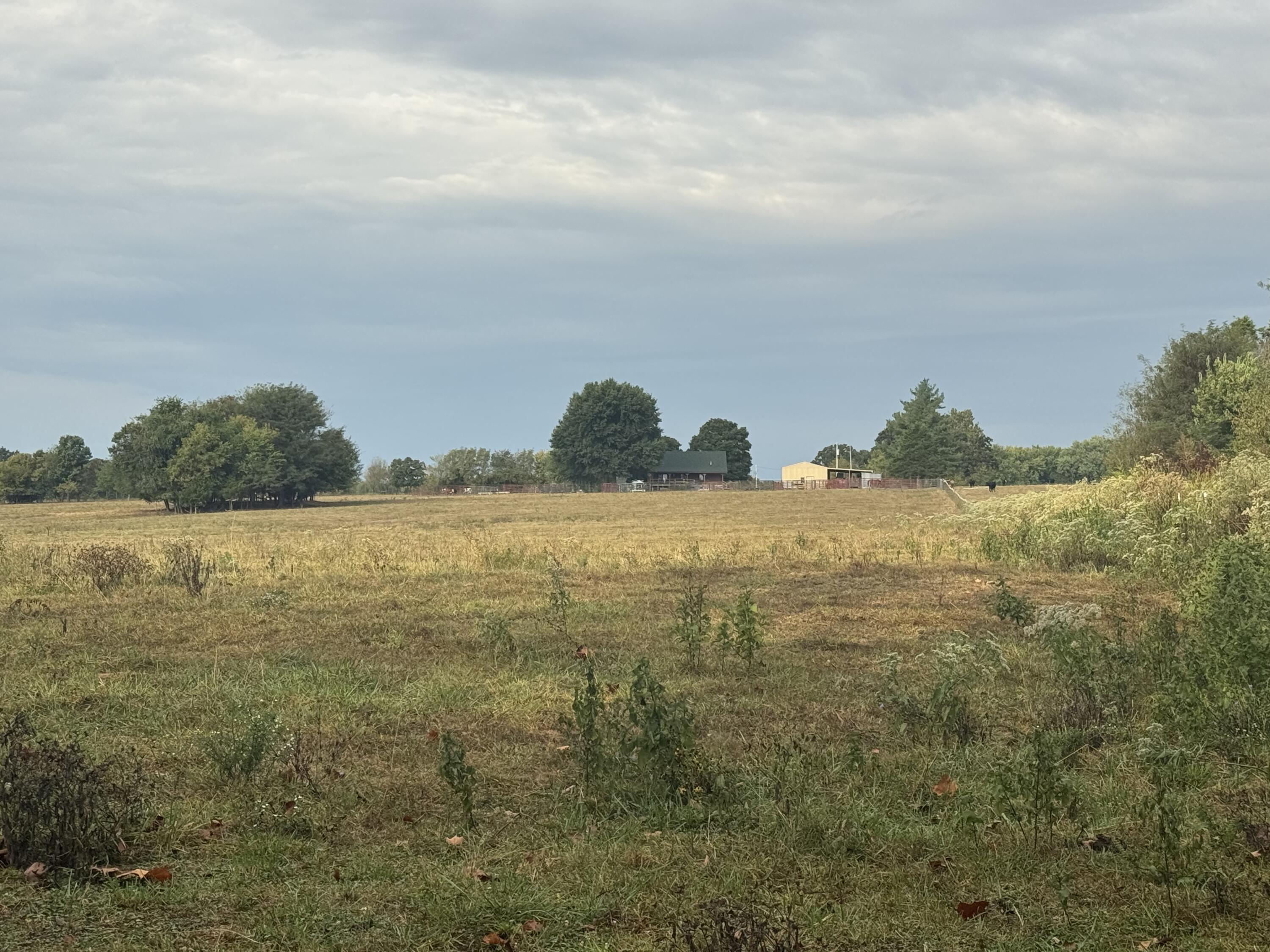 main property photo 89