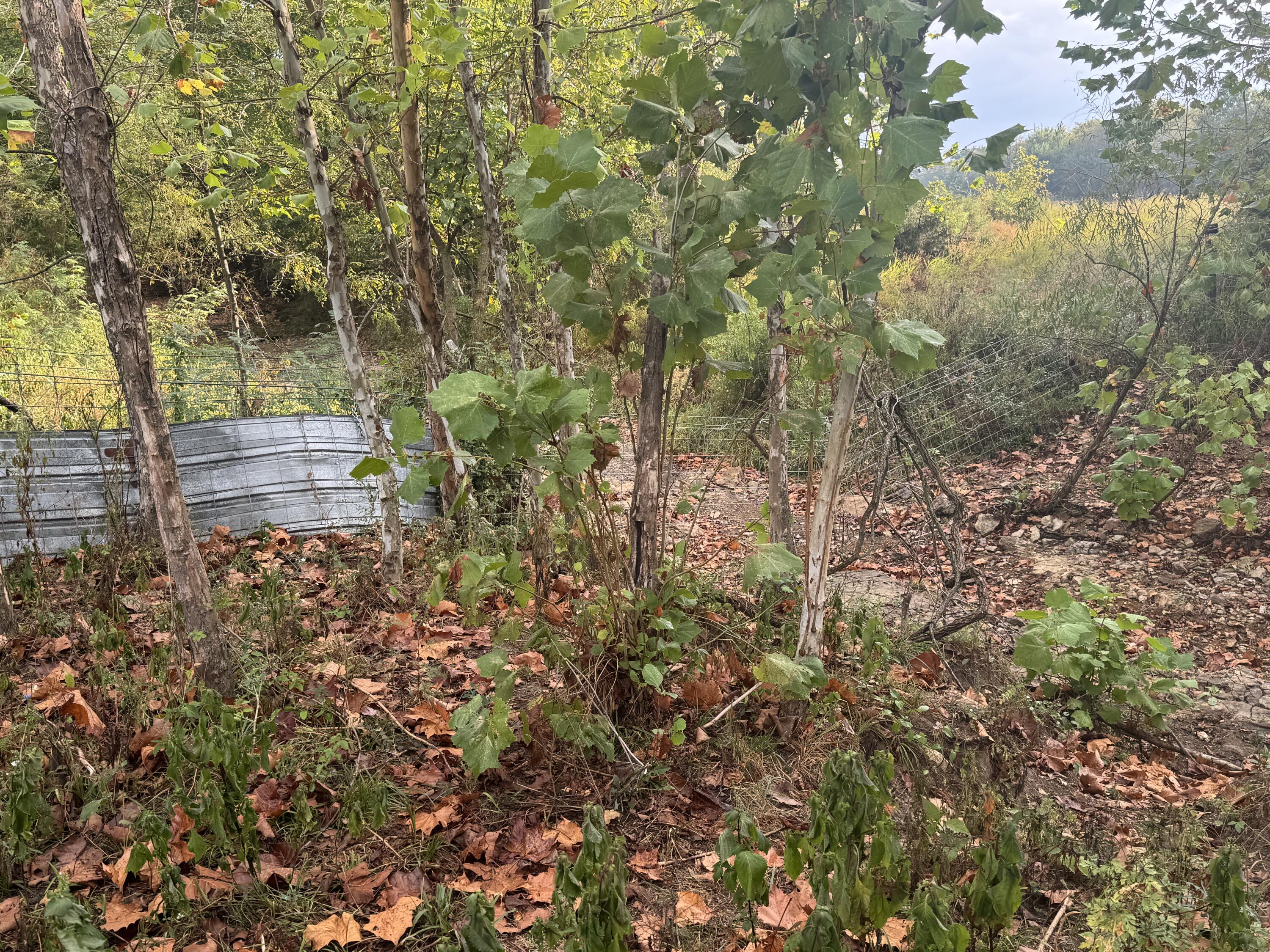 main property photo 92