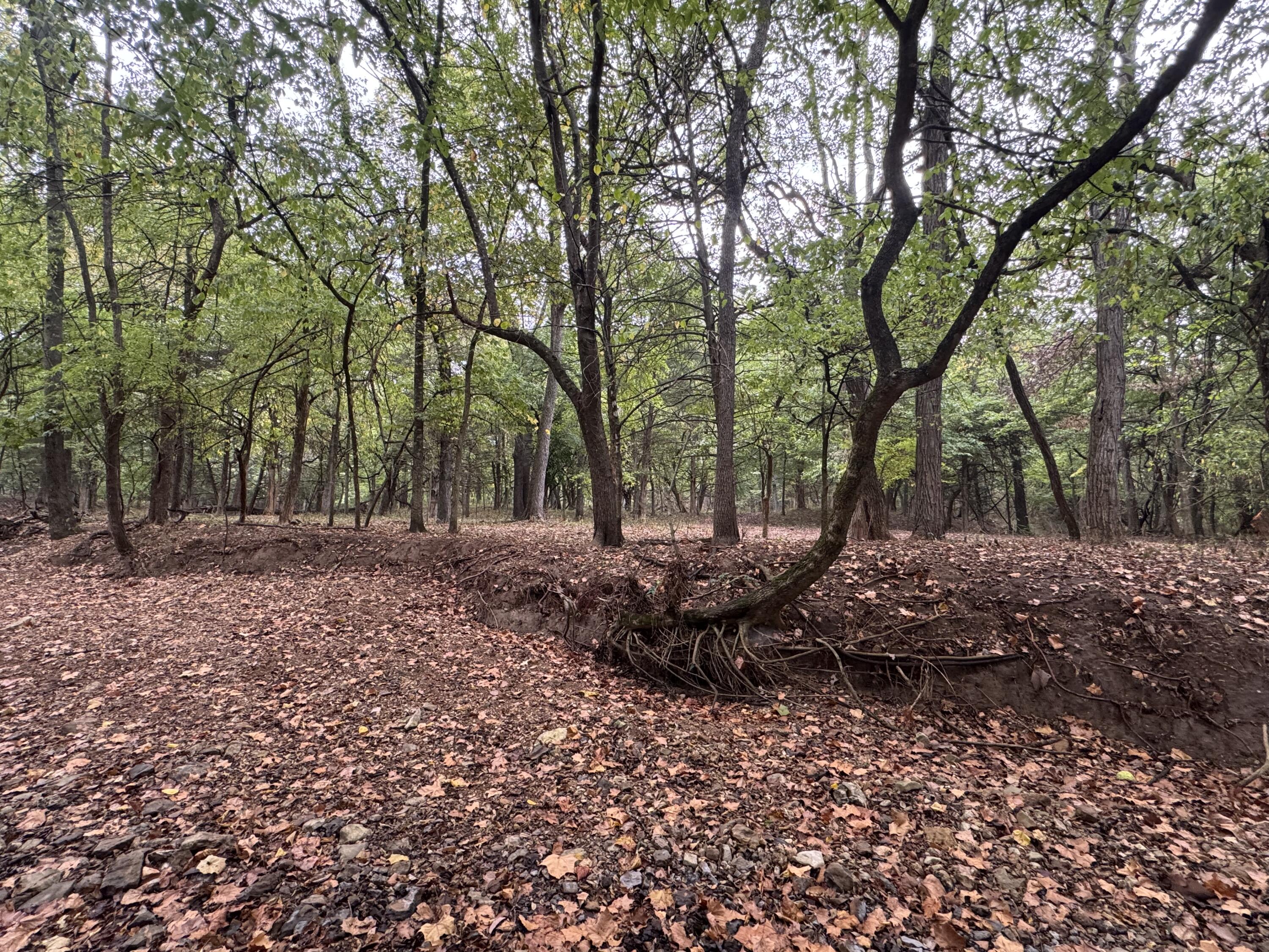 main property photo 96