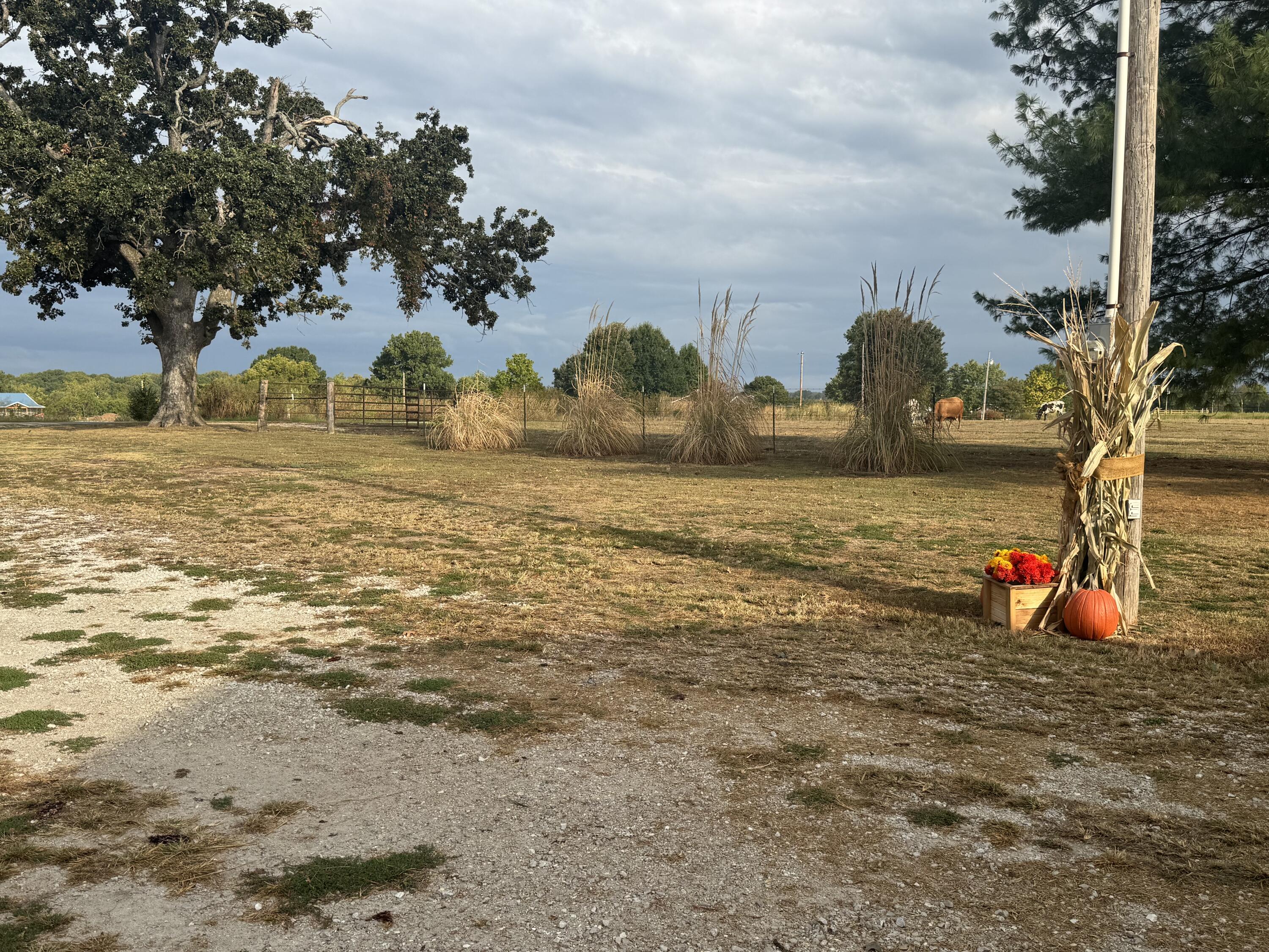 main property photo 89