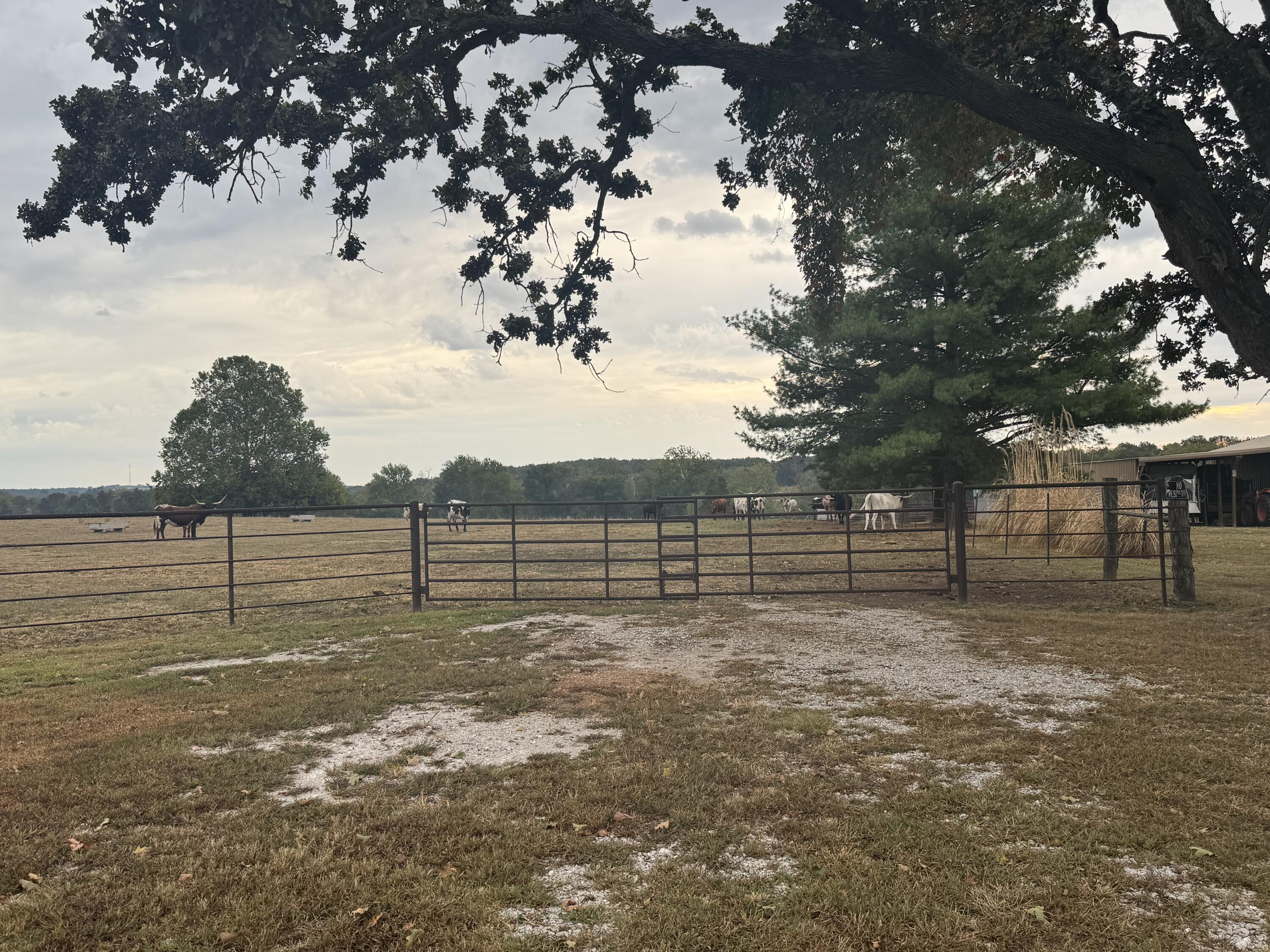 main property photo 0