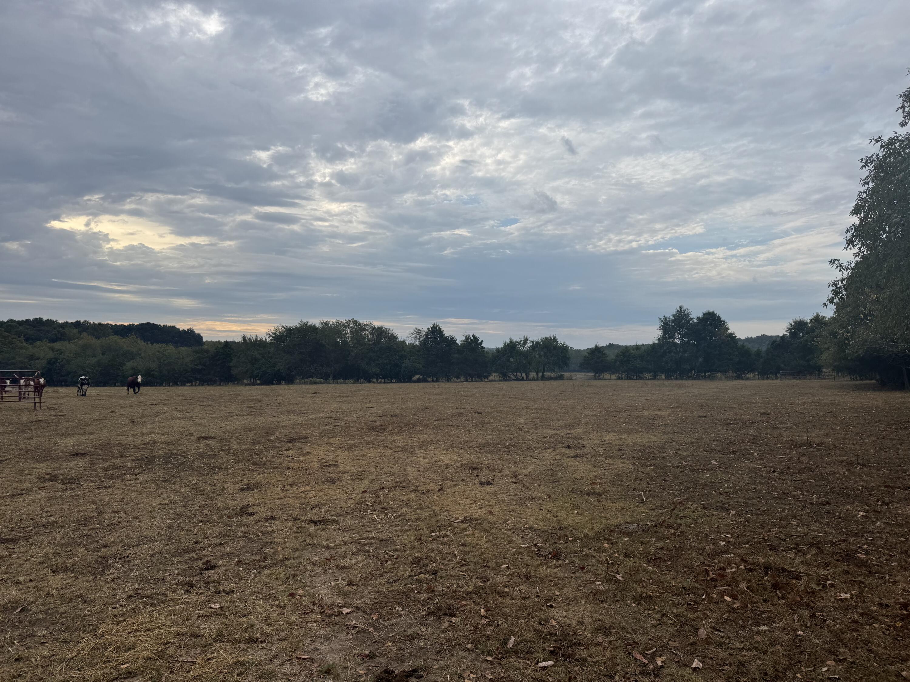 main property photo 13