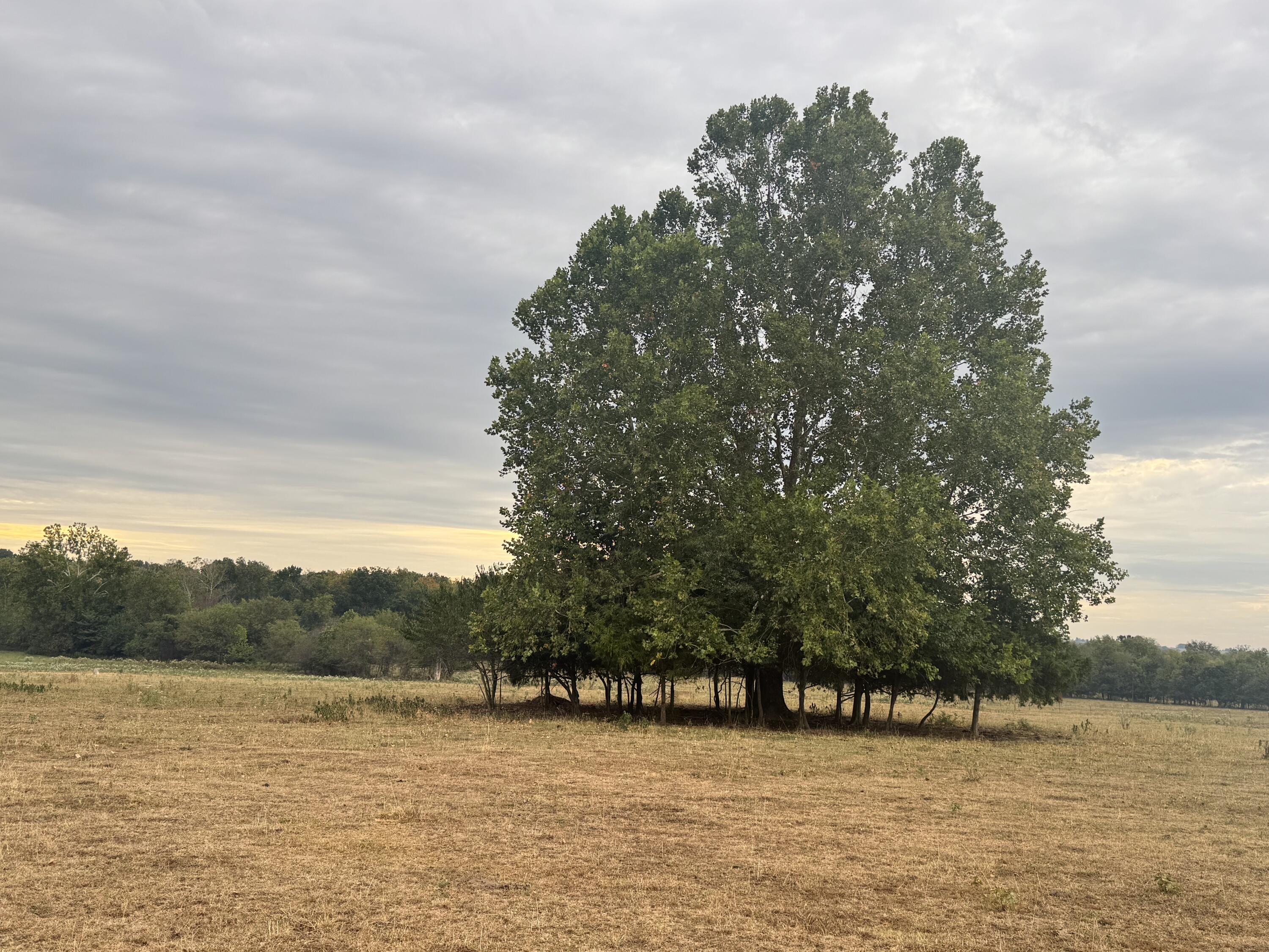 main property photo 16