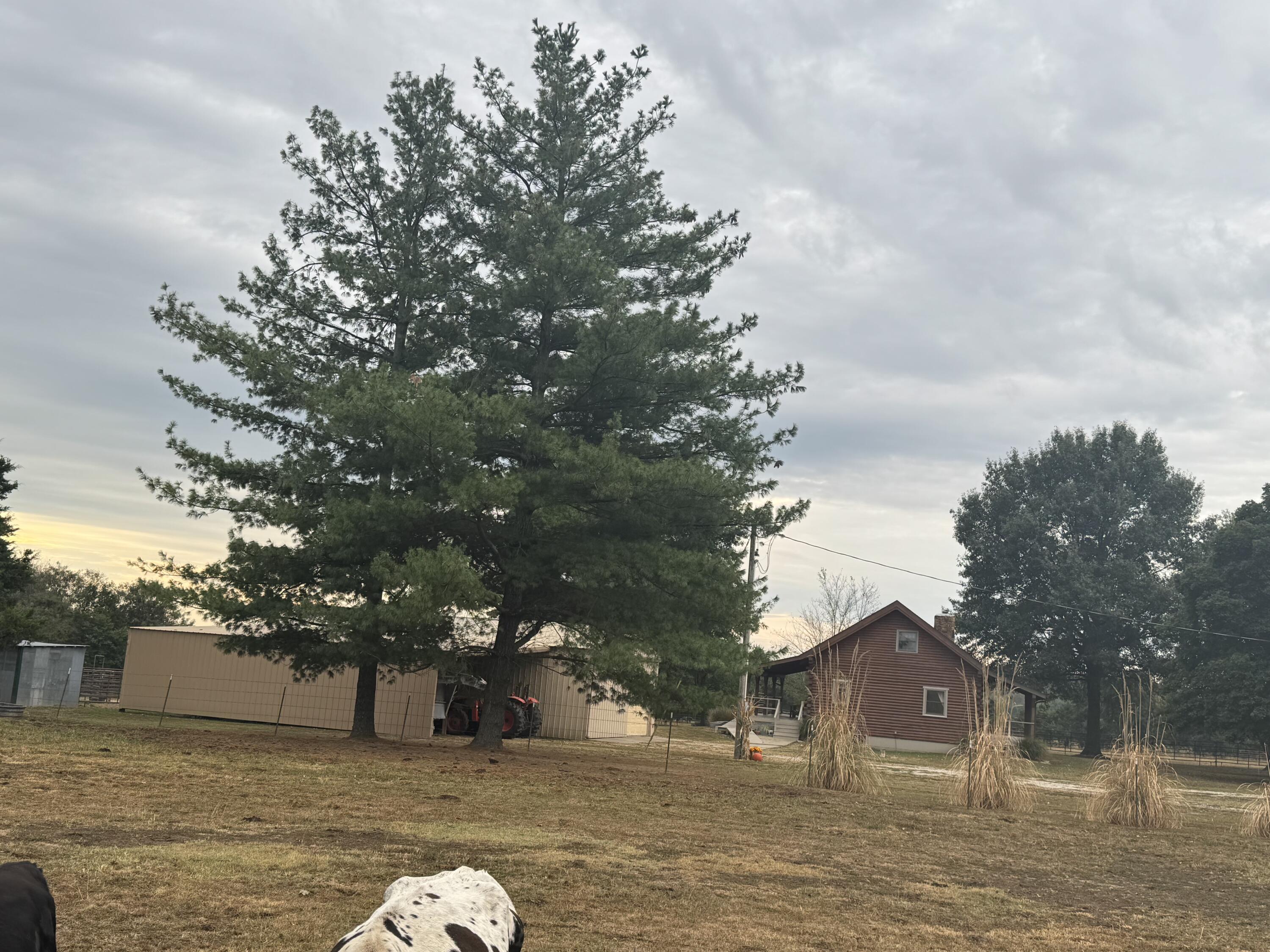 main property photo 21