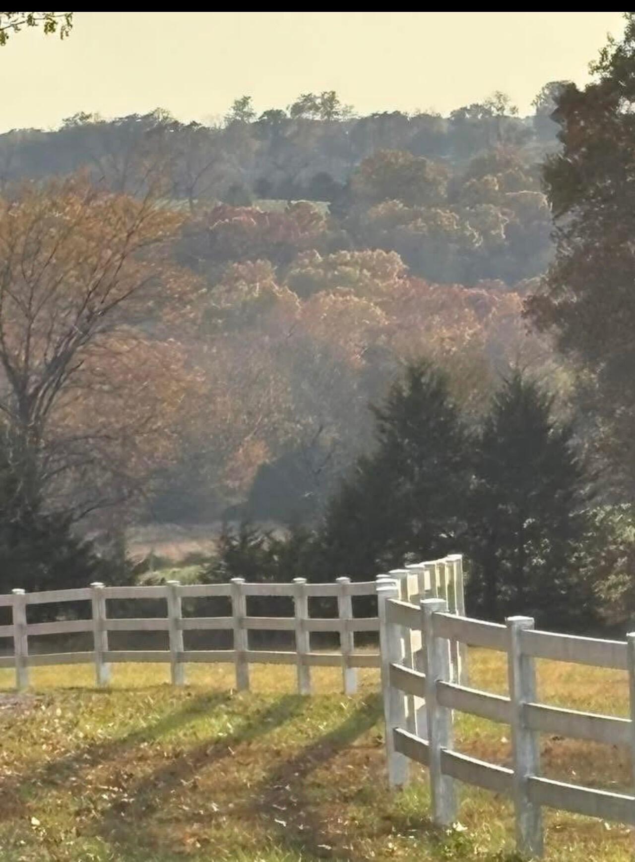 main property photo 59