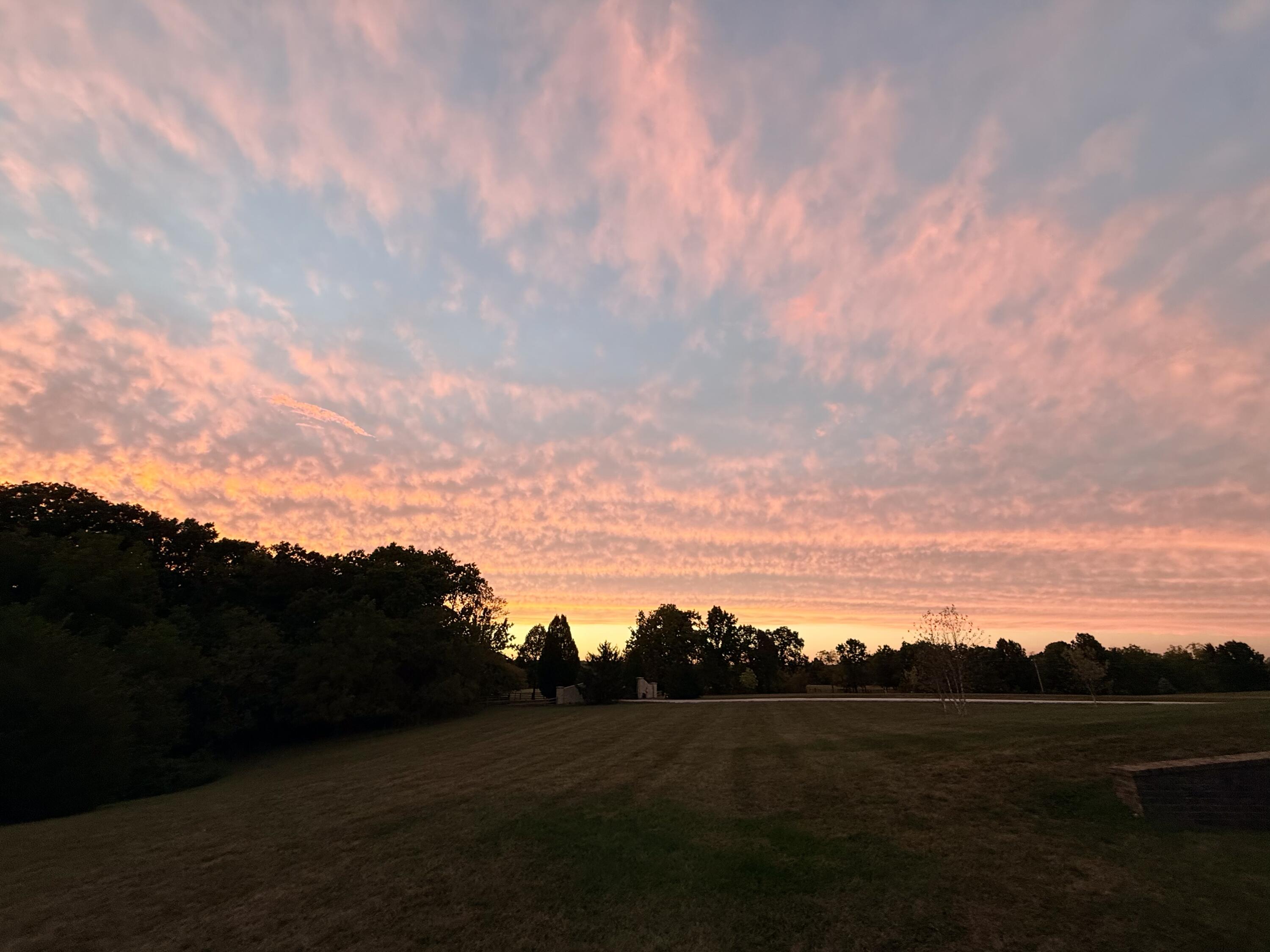 main property photo 78