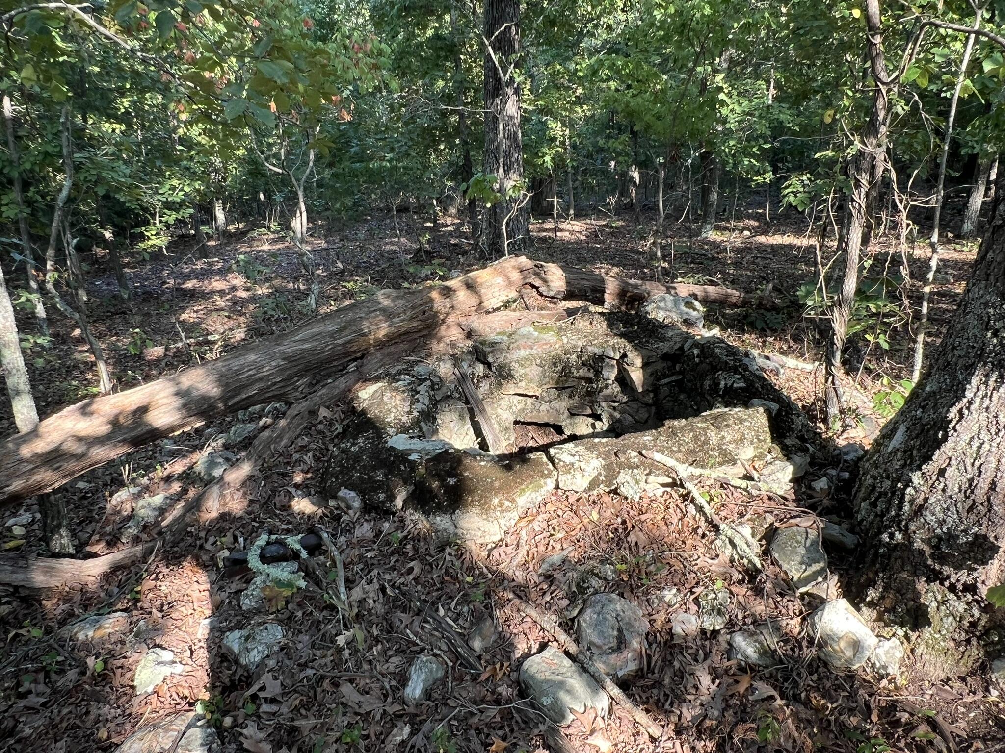 main property photo 101