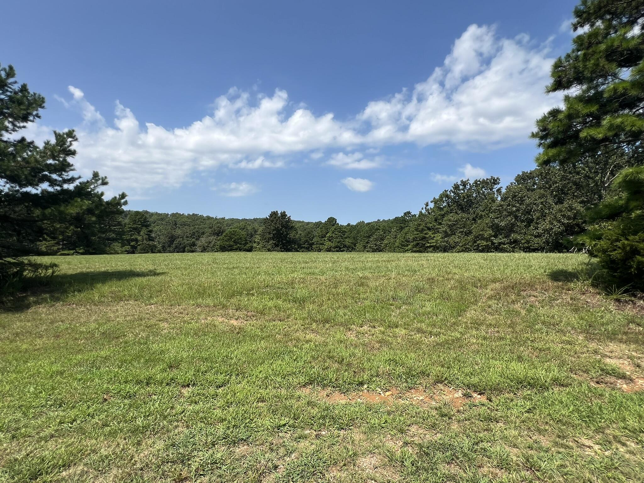 main property photo 95