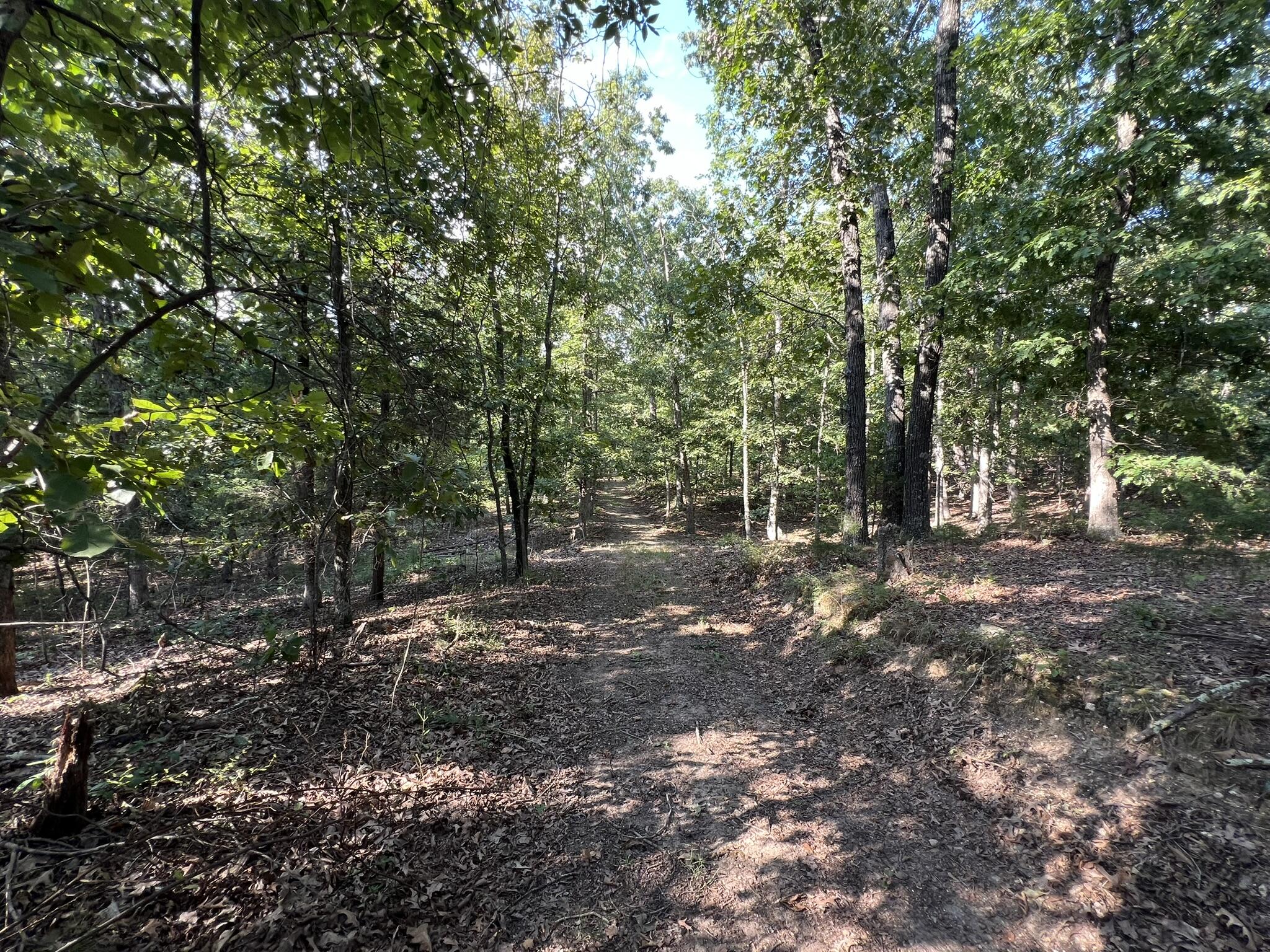main property photo 97