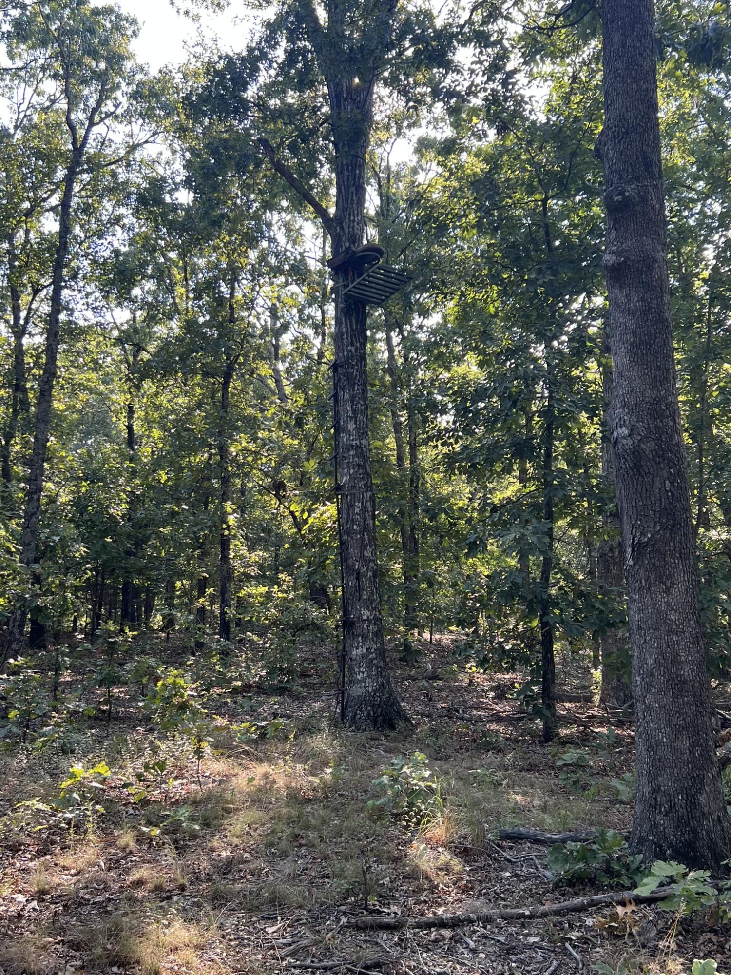 main property photo 98