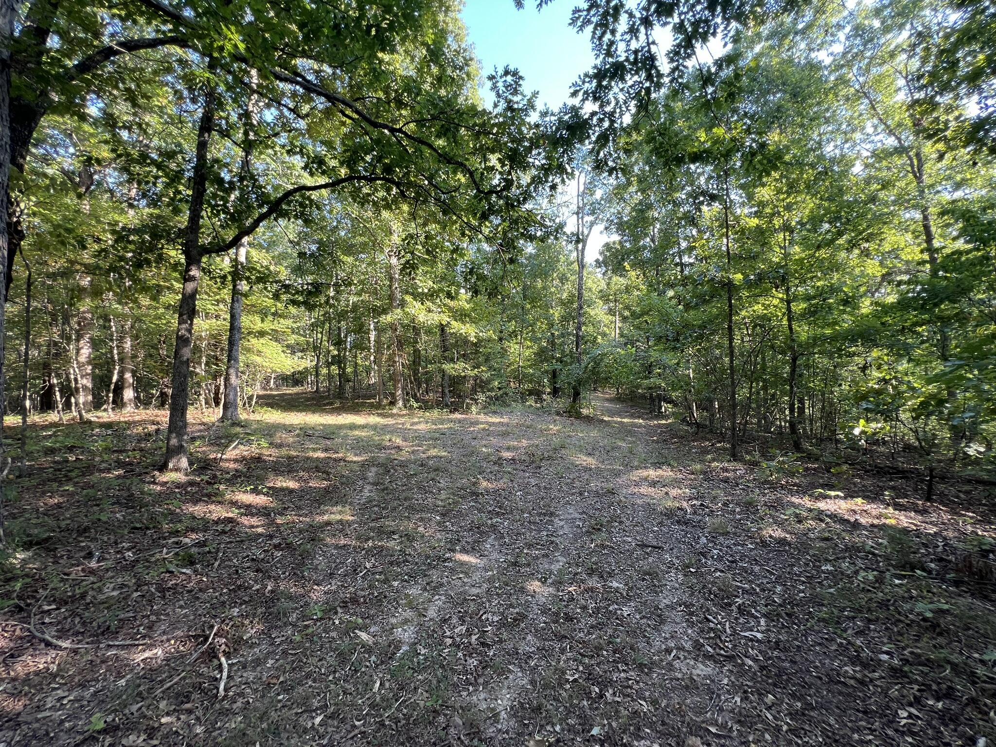 main property photo 99