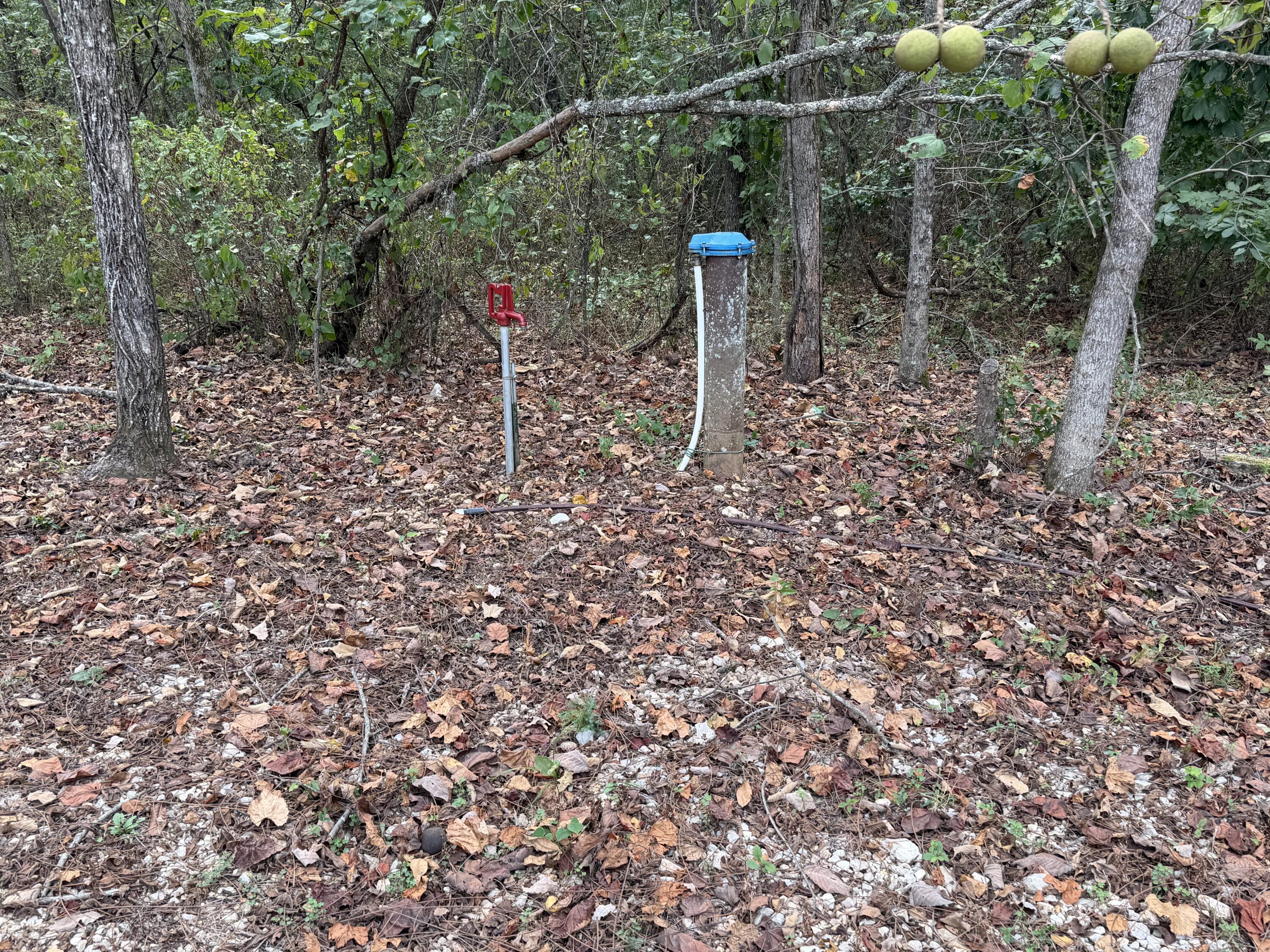 main property photo 34