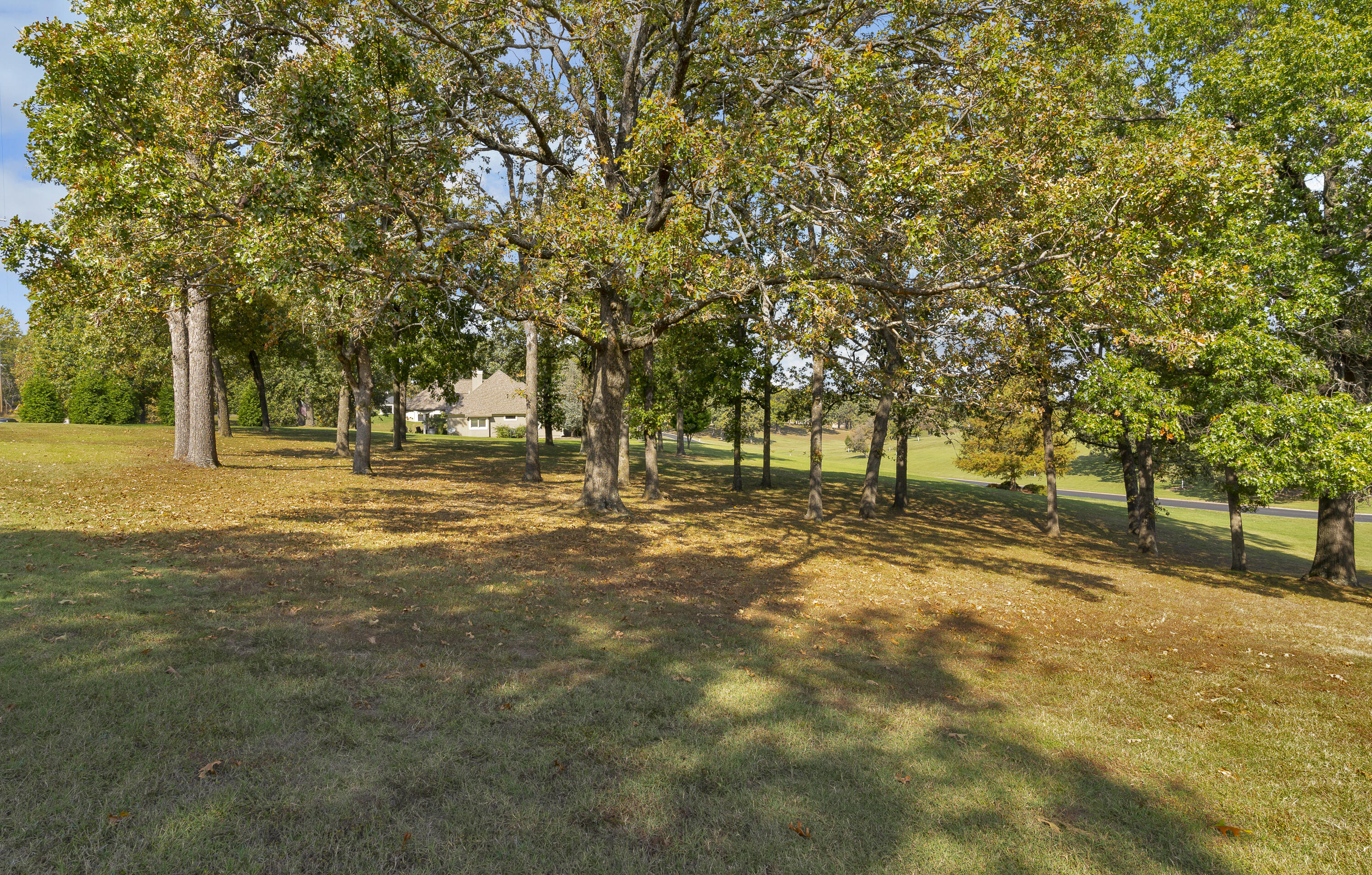 main property photo 69
