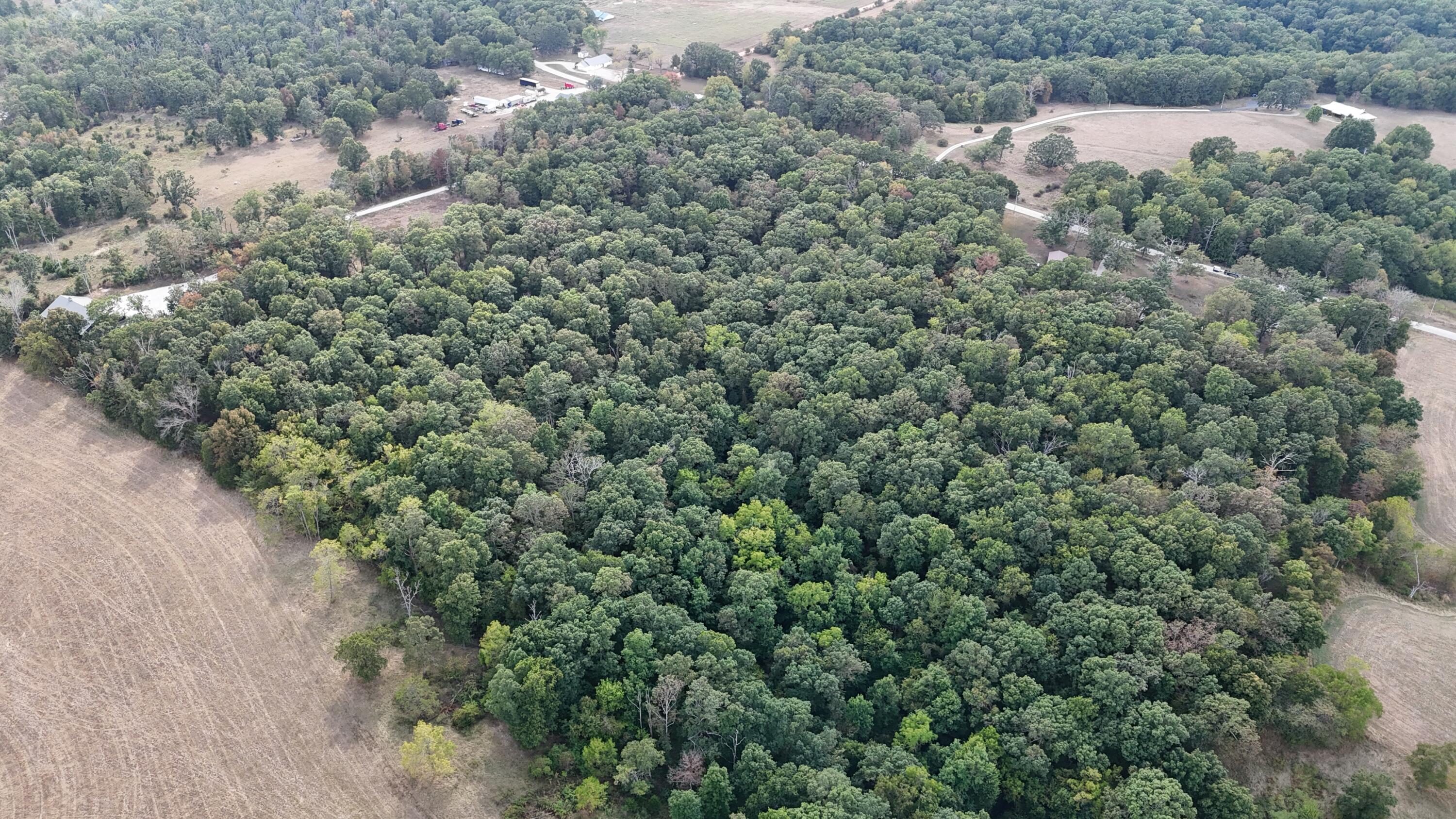main property photo 51