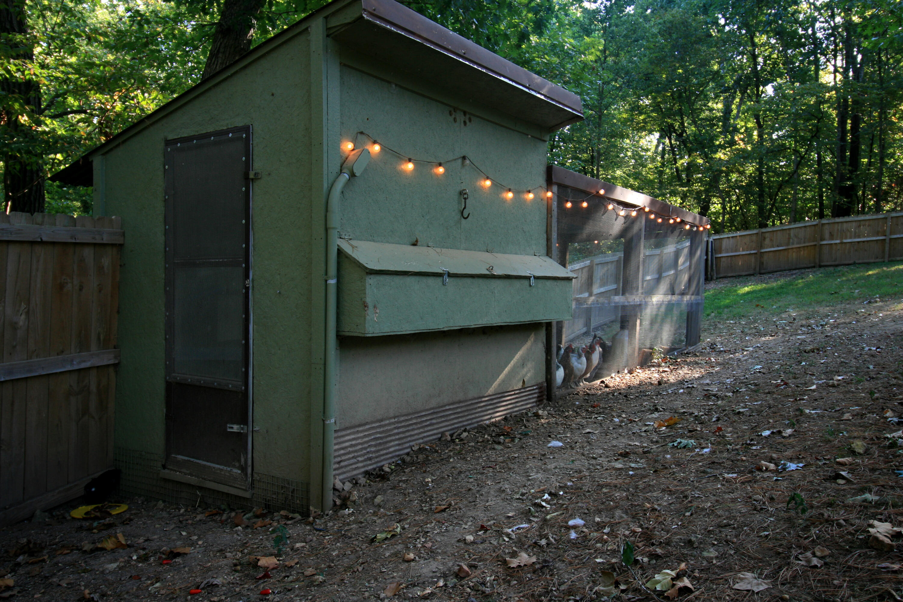 main property photo 64
