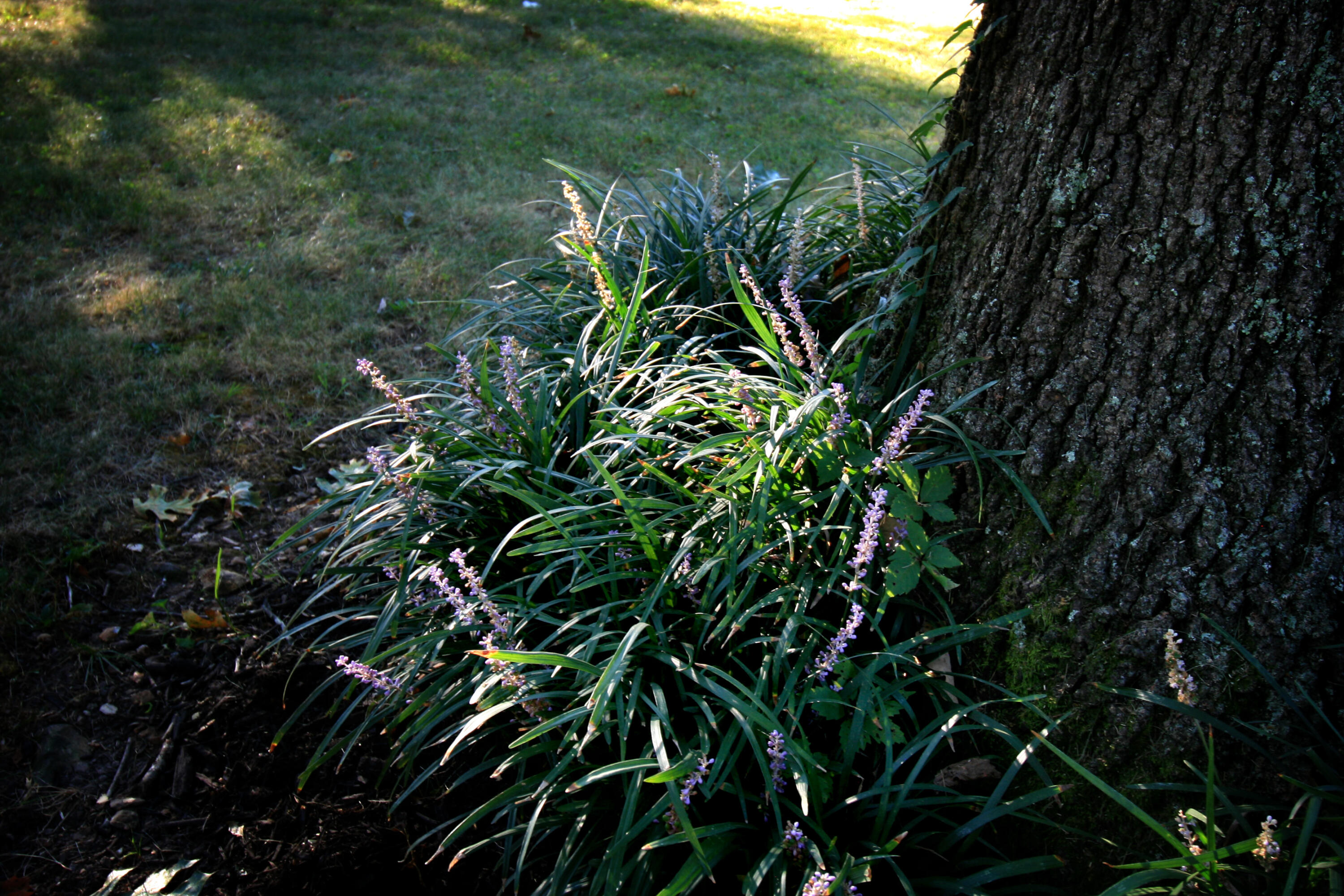 main property photo 76