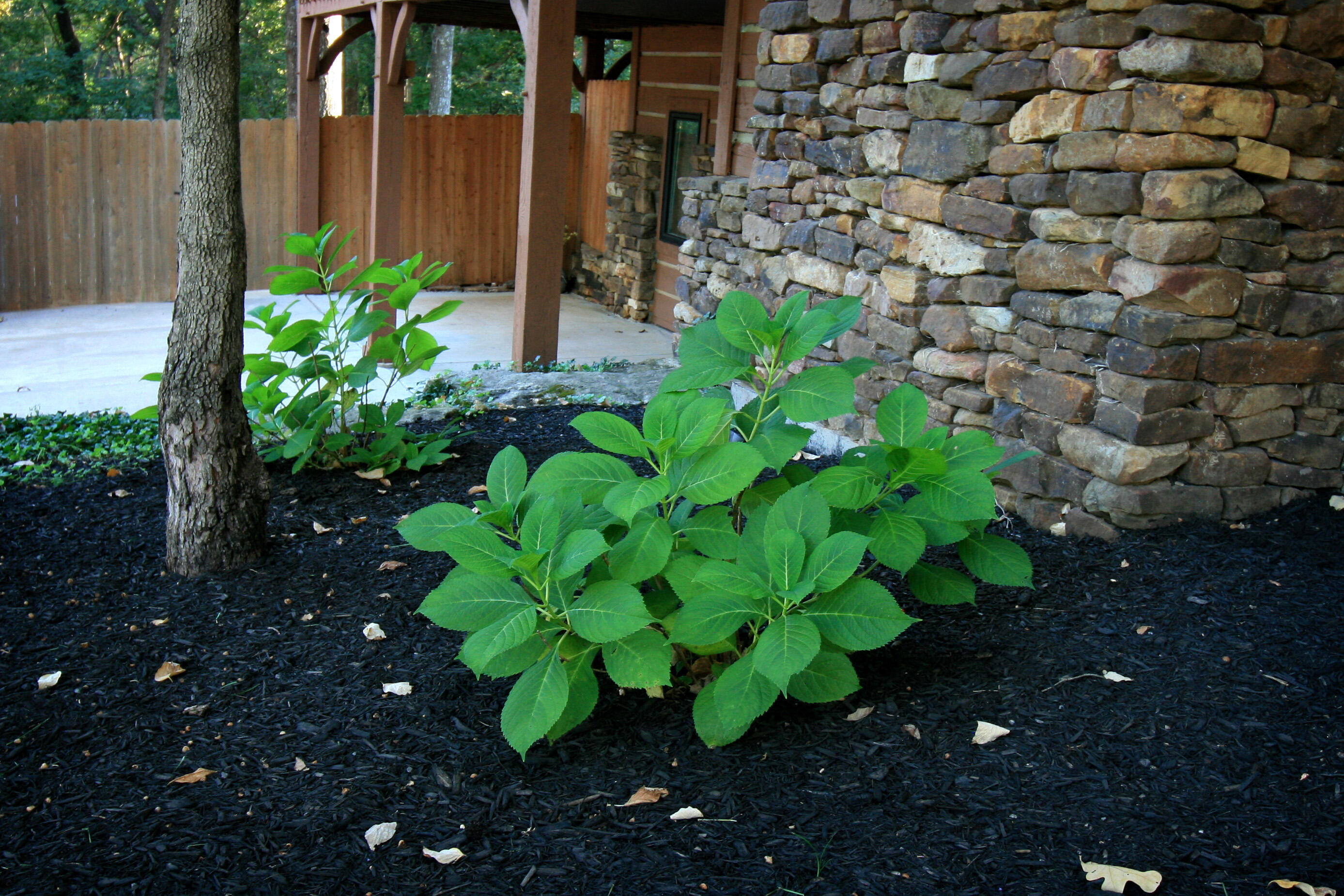 main property photo 77