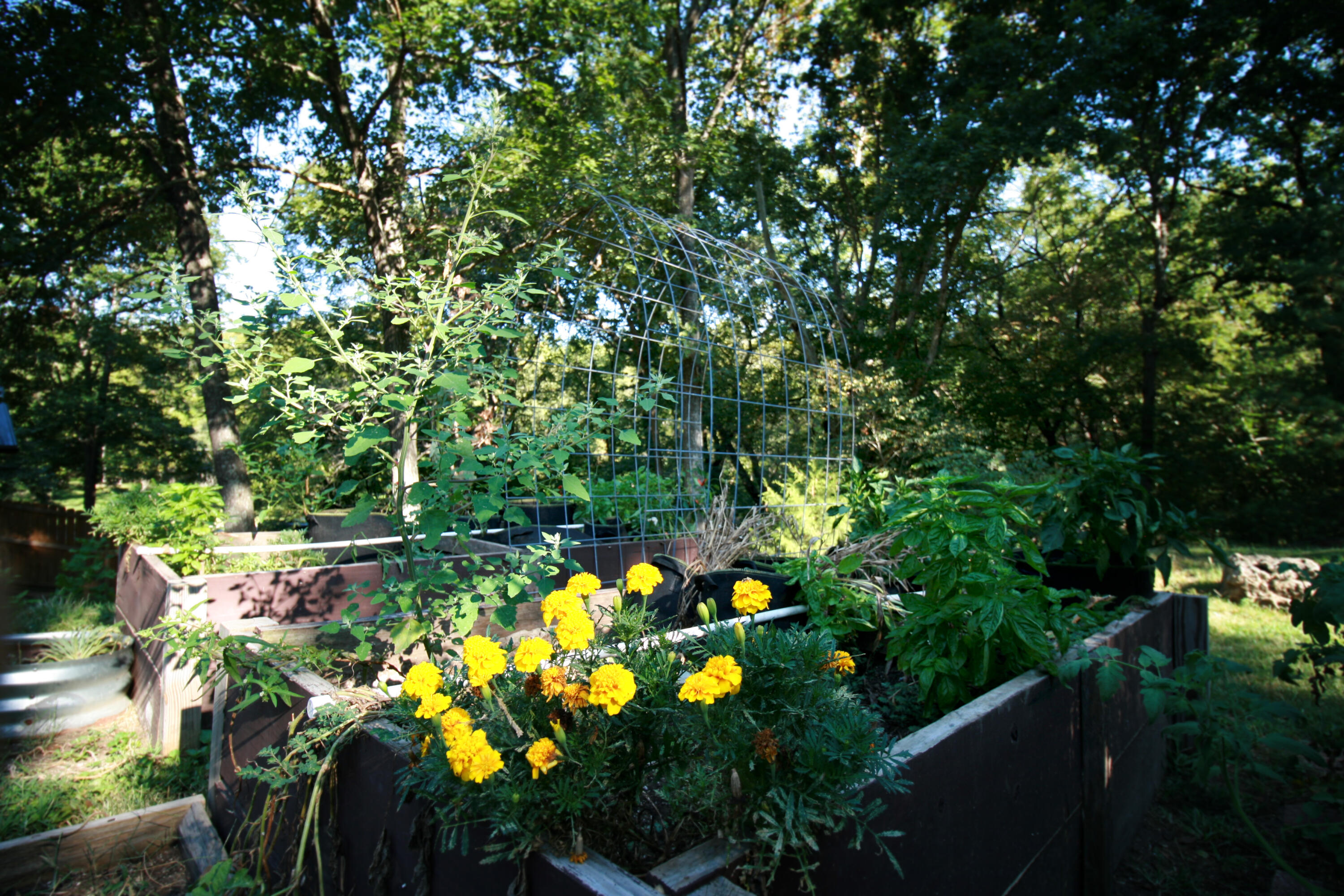 main property photo 78